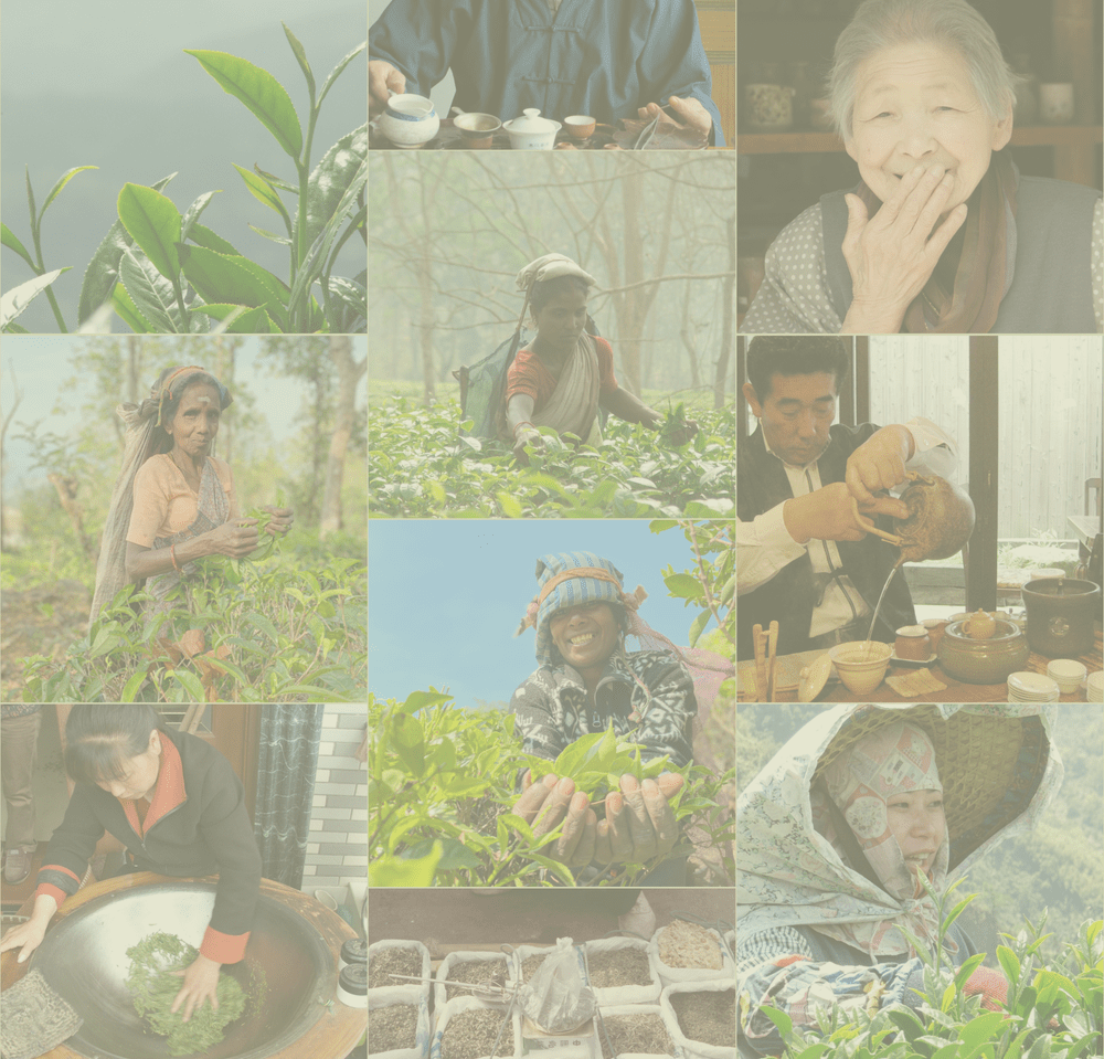 Tea Menu — Dobra Tea Asheville North Carolina