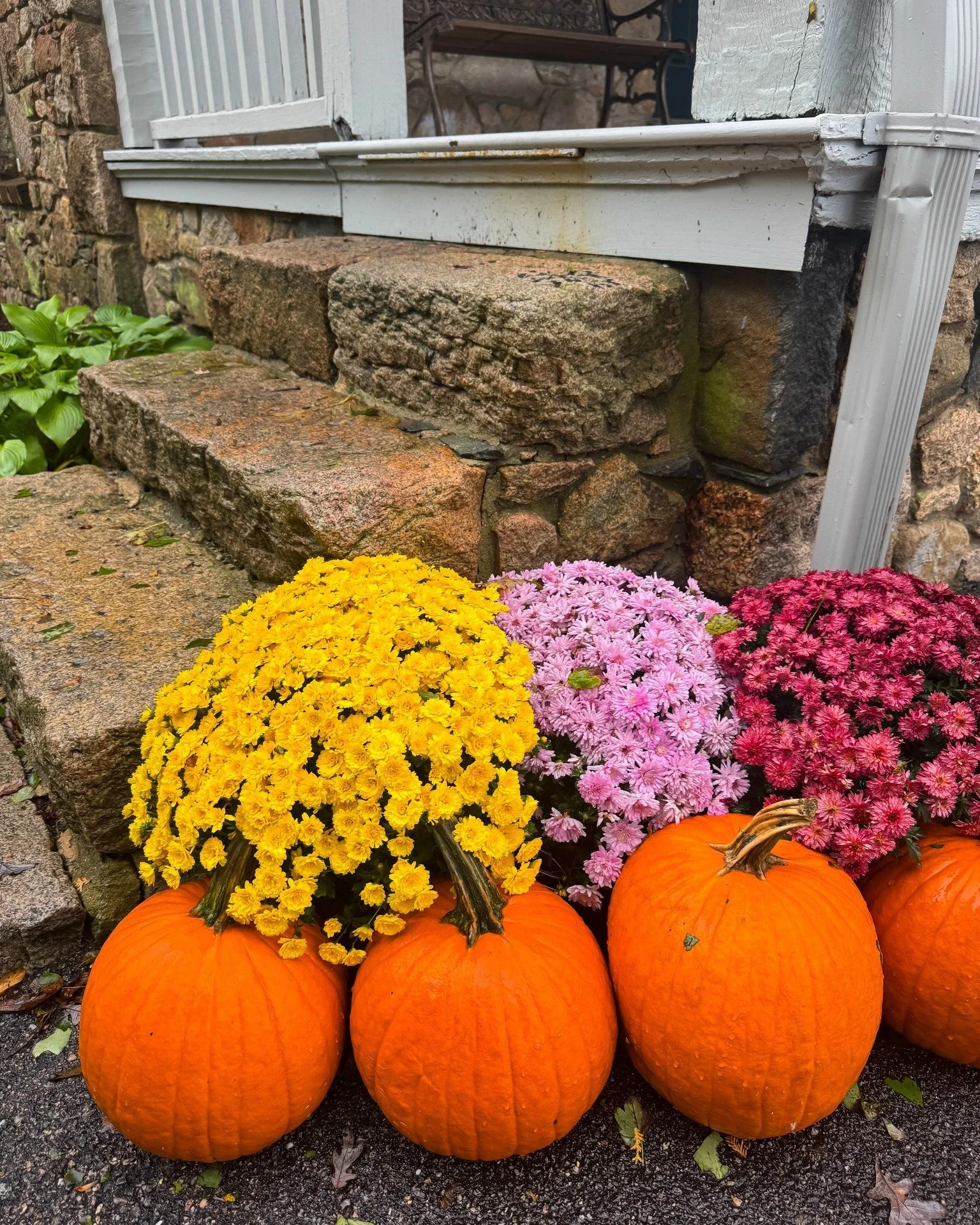 Fall is in full bloom at Hazard Castle. 🍂 Pumpkins, mums, and crisp Narragansett air &mdash; the perfect season on campus. 💛🧡 #HazardCastle #MiddlebridgeMoments #FallAtMiddlebridge🌊
