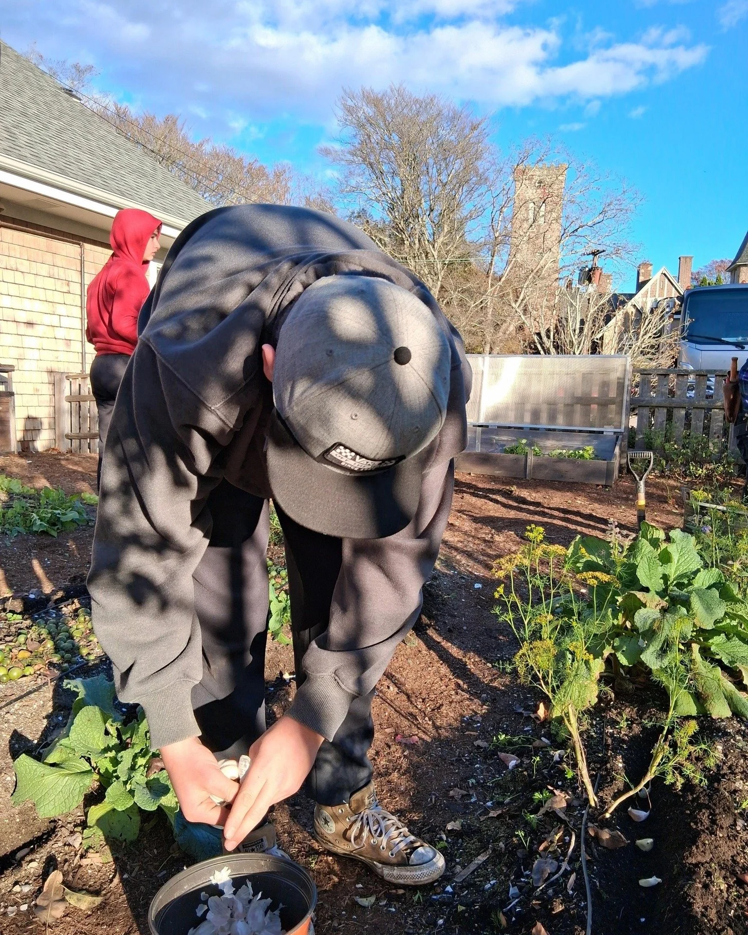 A perfect afternoon in the MBS garden&mdash;planting bulbs and garlic, harvesting carrots and potatoes, and soaking up the sunshine. 🌱☀️ We are always grateful for days like this on campus. #MiddlebridgeAgriculture #FarmToTable #MiddlebridgeGardens