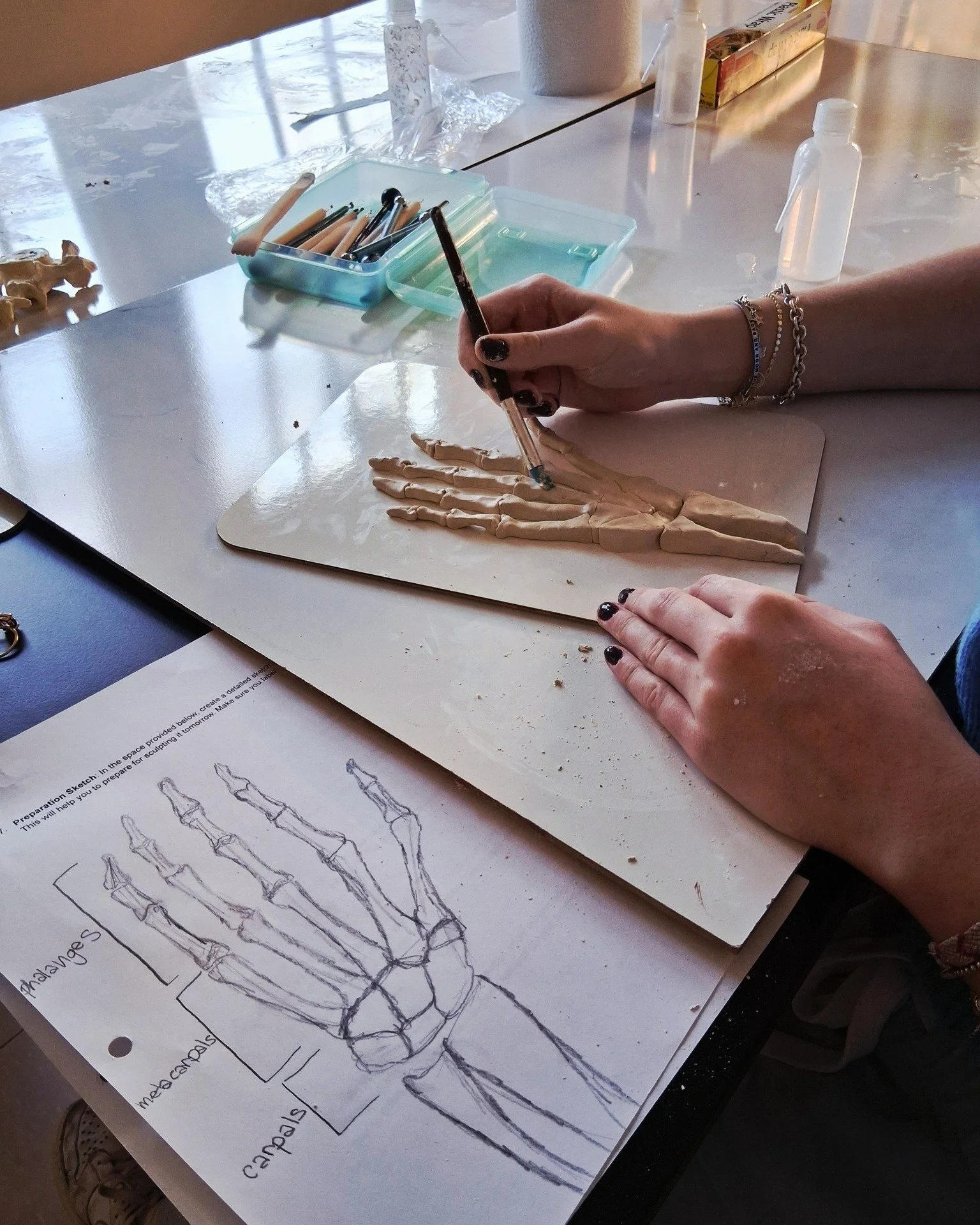 Our Anatomy students brought science to life last week, sketching and sculpting bones of their choice in a hands-on clay lab. We were blown away by their creativity and artistic eye!

Meanwhile, Bio students explored diffusion using Skittles&mdash;a 