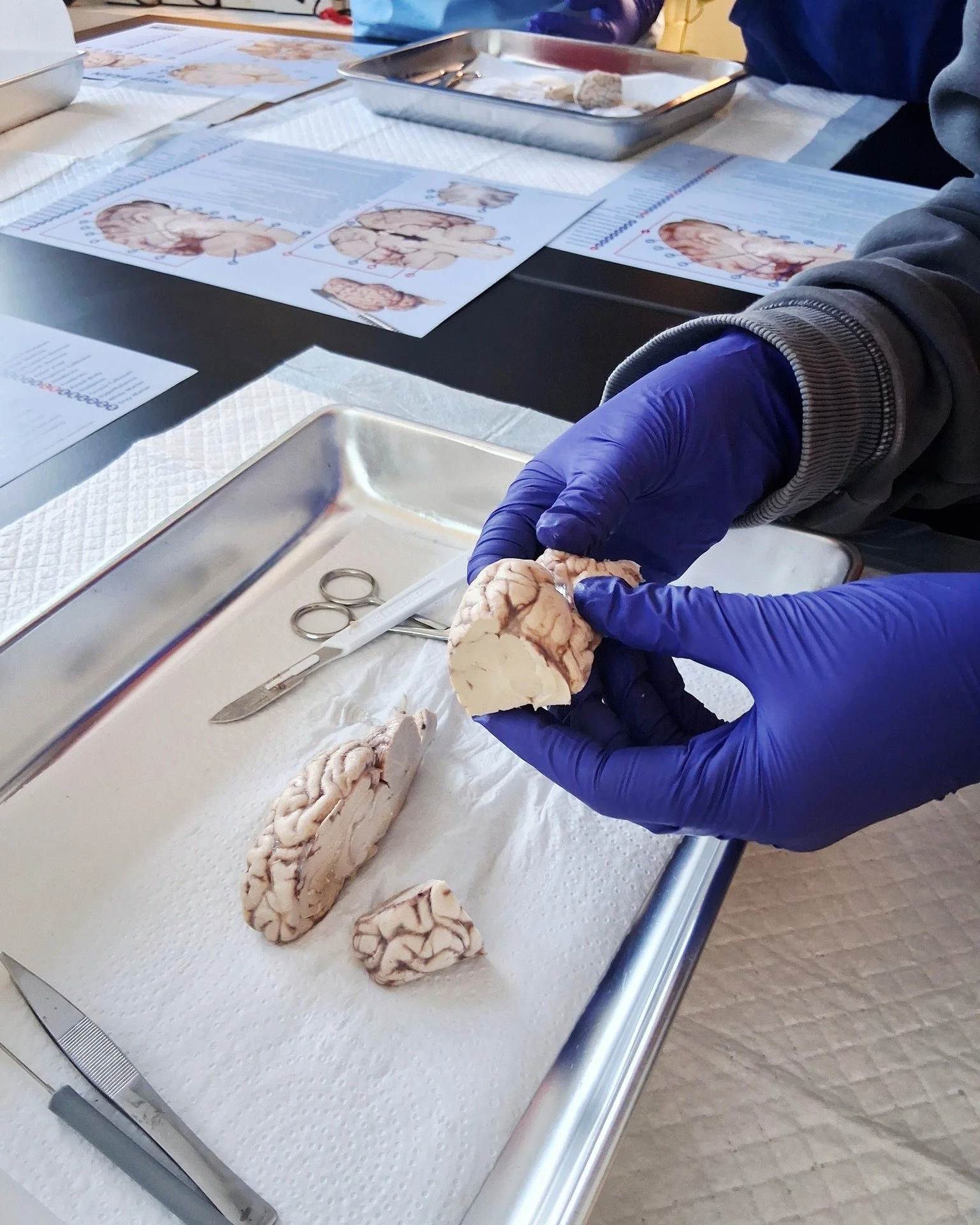 Why Middlebridge Excels in Educational Design for Students with ADHD and EF Challenges