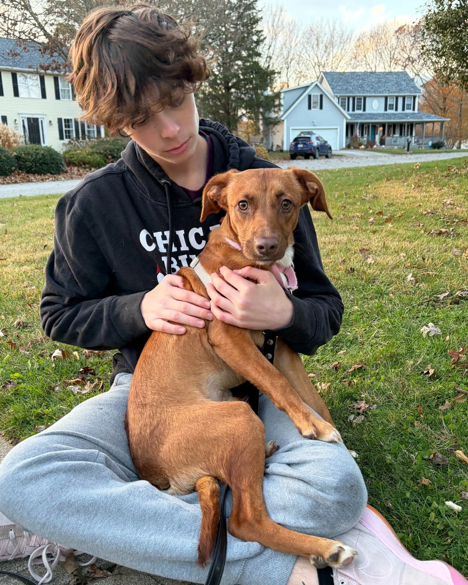 Internships at Middlebridge give students the opportunity to explore their interests in real settings &mdash; from museums and classrooms to community organizations. Through these experiences, students learn how to show up, contribute meaningfully, a