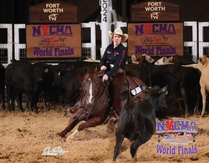Scholarships | Apply for Scholarships Today — NCHA Foundation