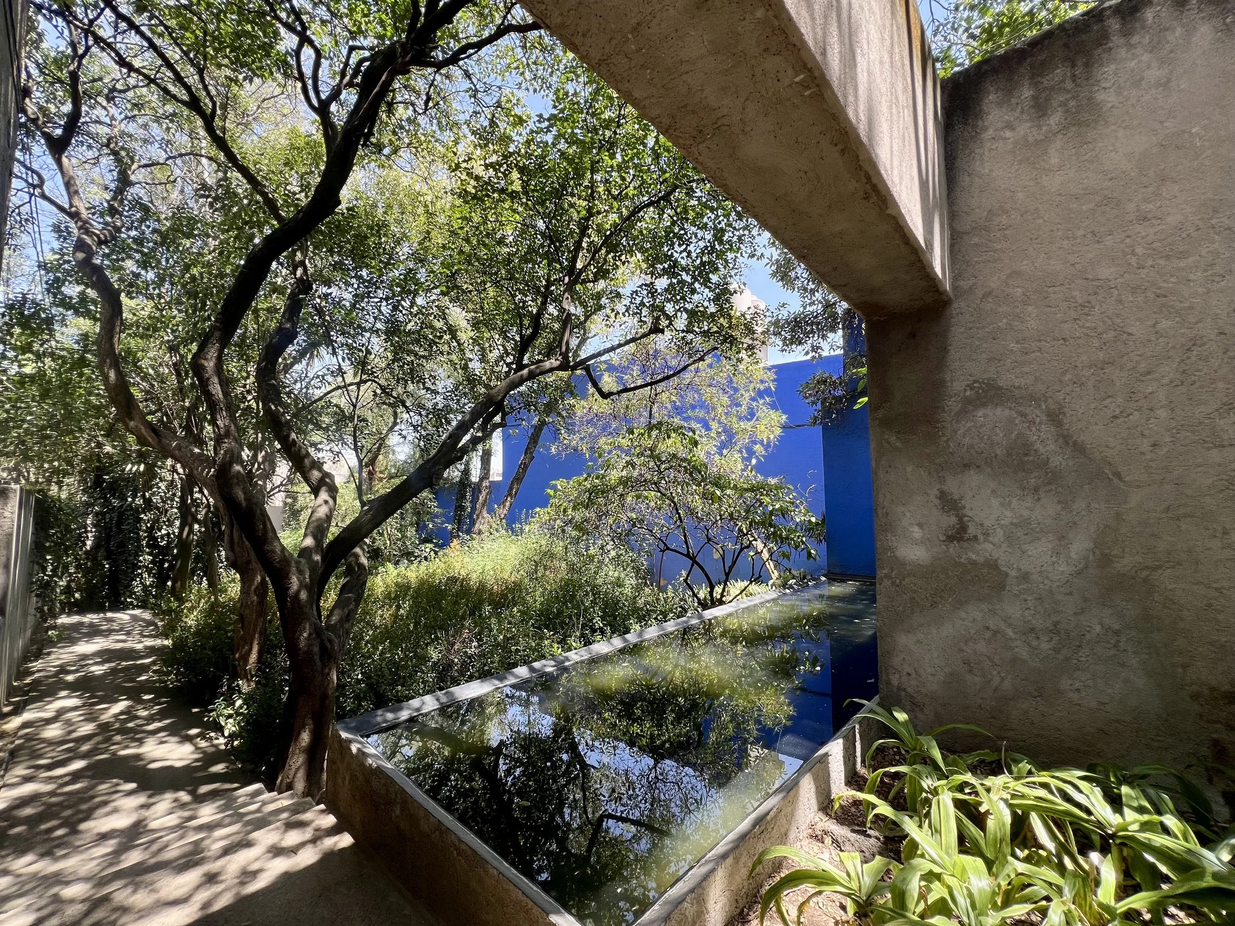 IMG_8133.jpeg