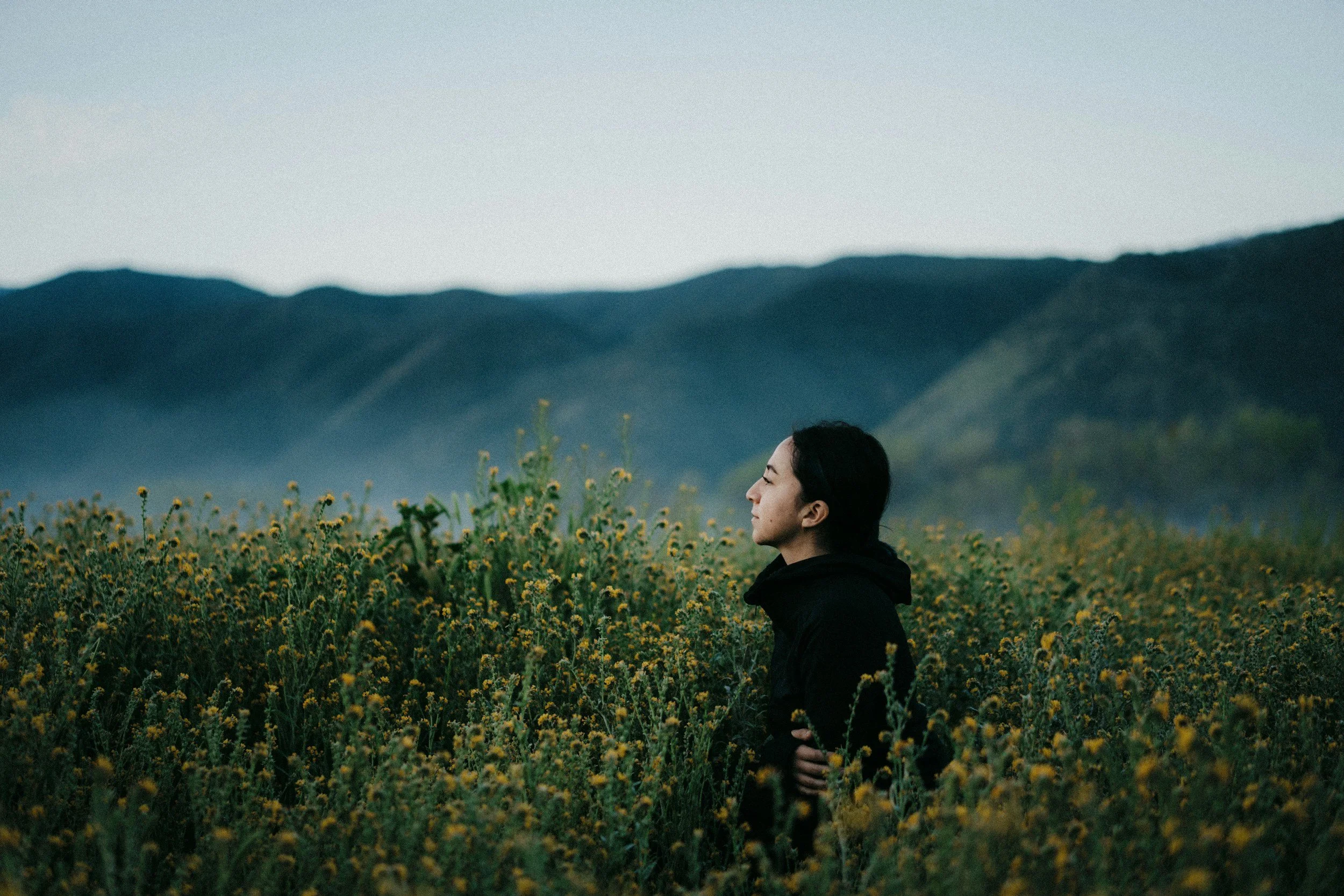 A woman standing in a field of yellow flowers with mountains in the background during dusk.