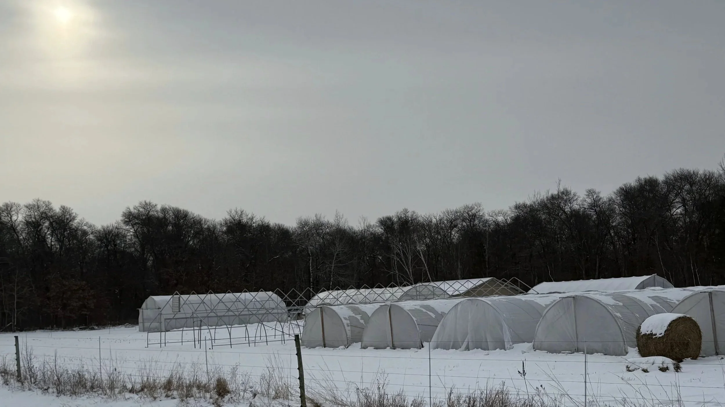 Garden Notes- March 15