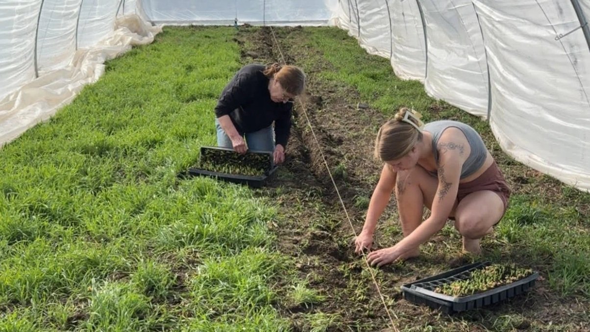 Garden Notes- March 22