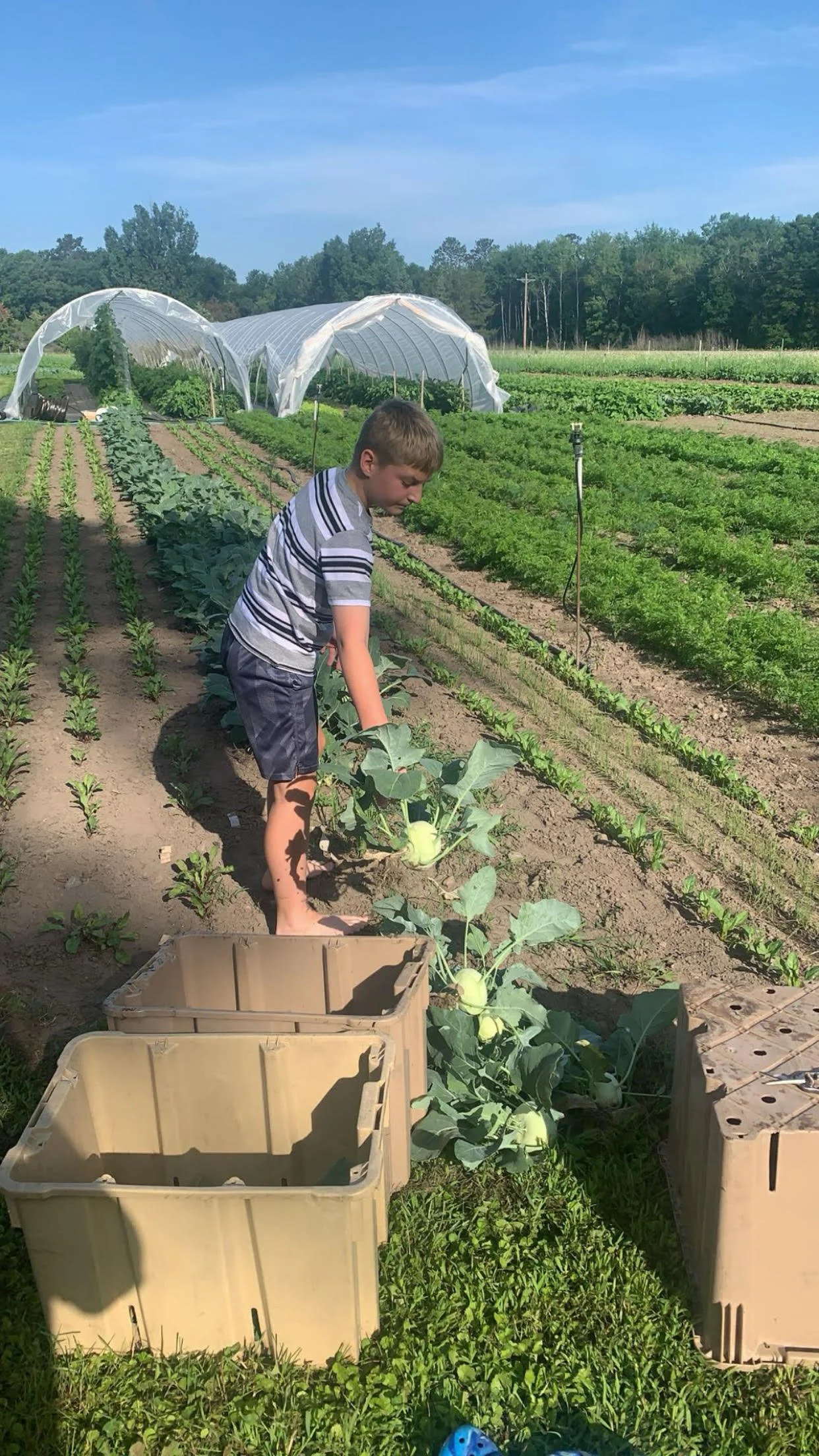 At the Garden Table: Salad and Beverages