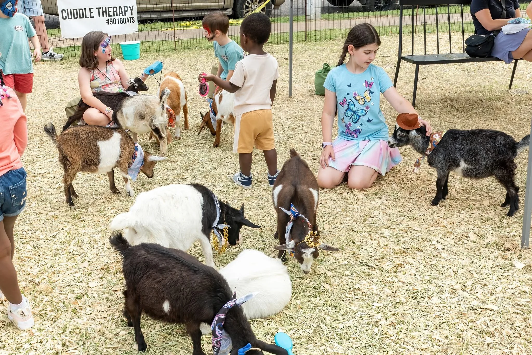 Goat Cuddle Therapy @ Bartlett BBQ Festival