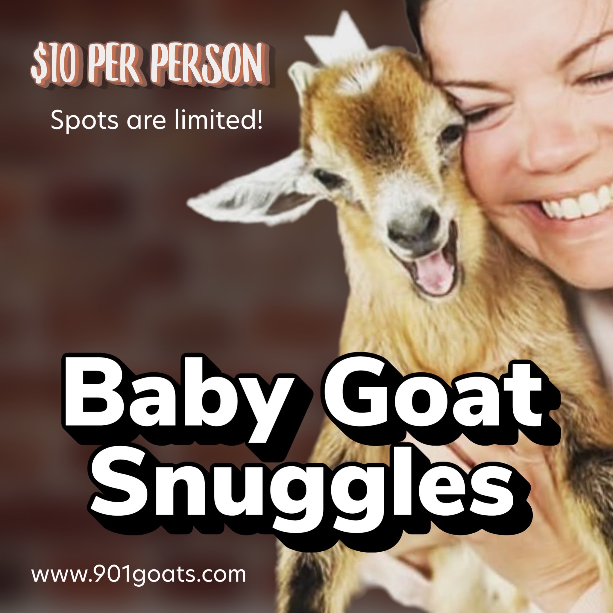 Open Ranch Hours & Baby Goat Snuggles
