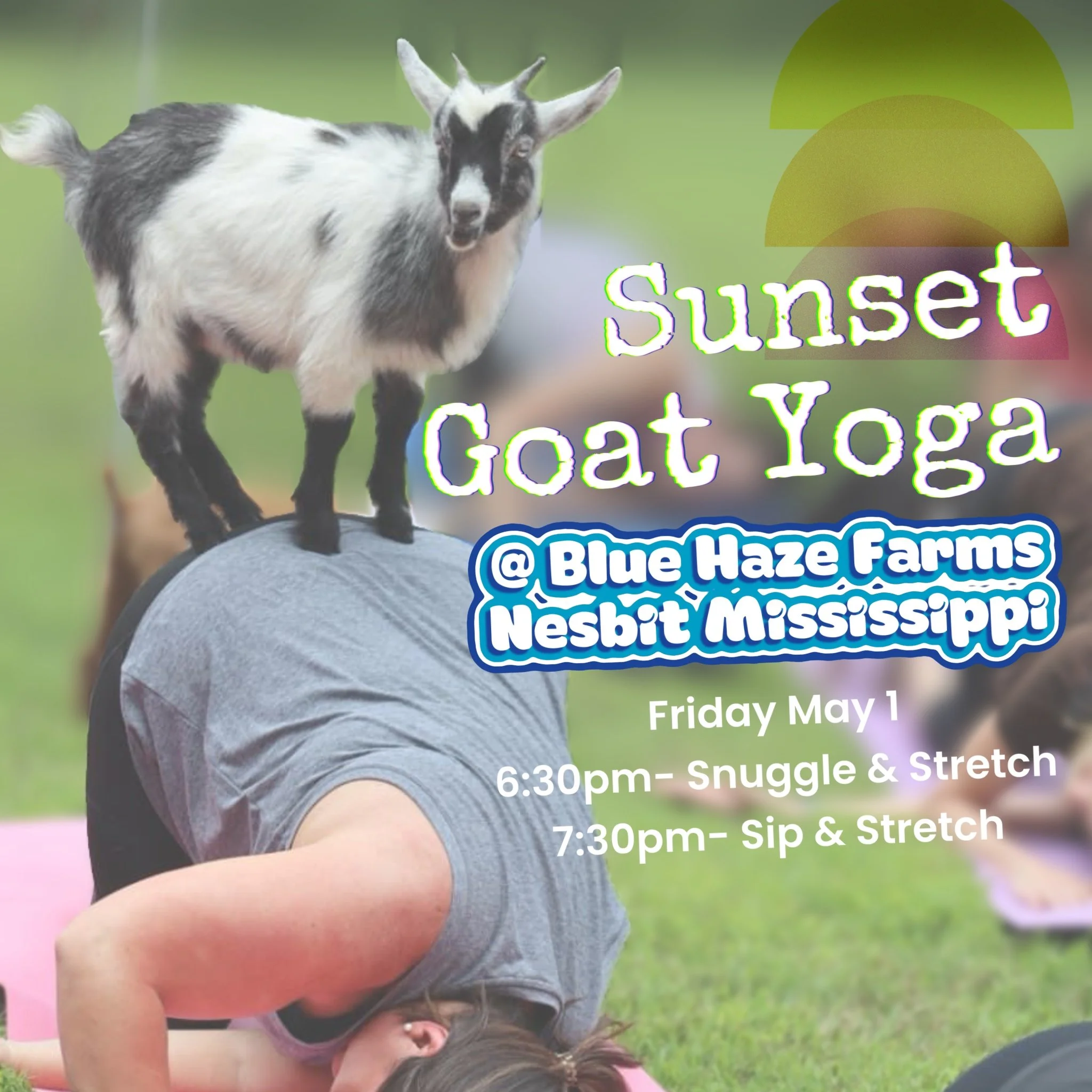 Snuggle &amp; Stretch - Goat Yoga @ Blue Haze Farms, Nesbit MS
