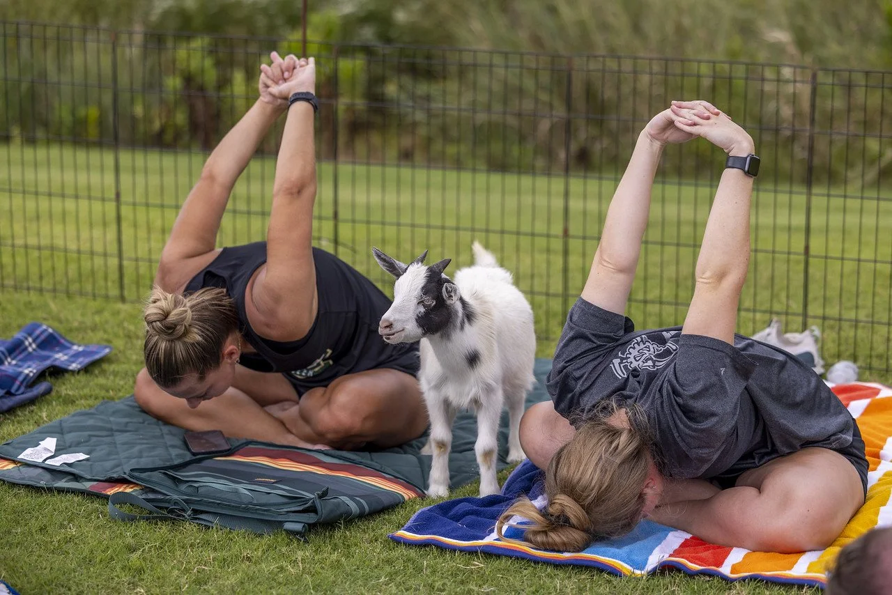 Goat Yoga @ Shelby Farms Park