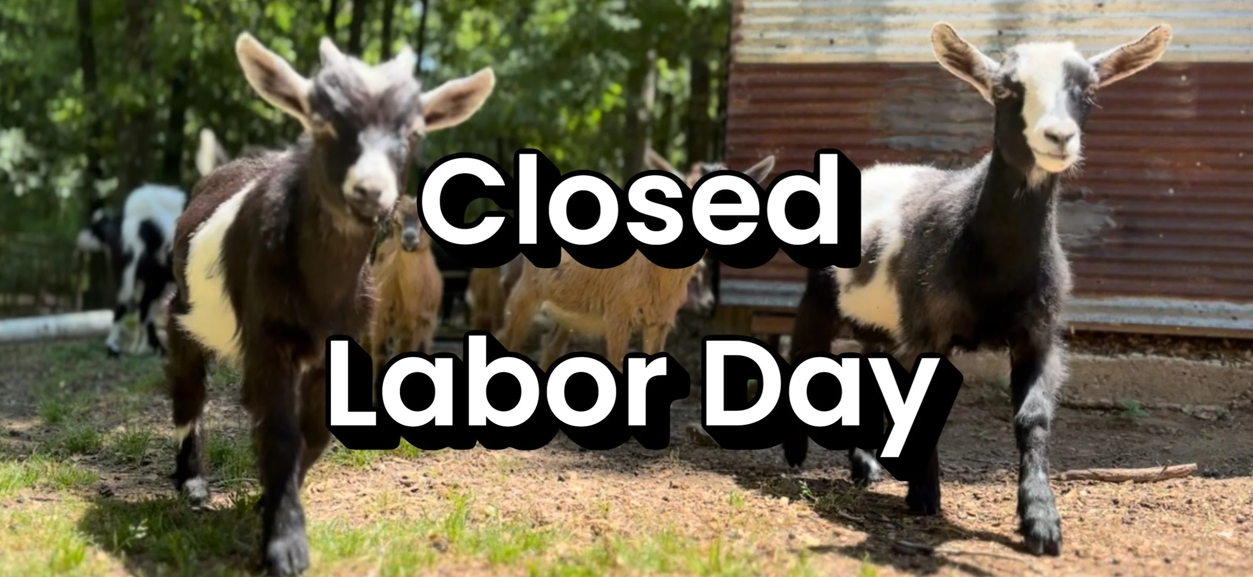 Closed Labor Day Weekend