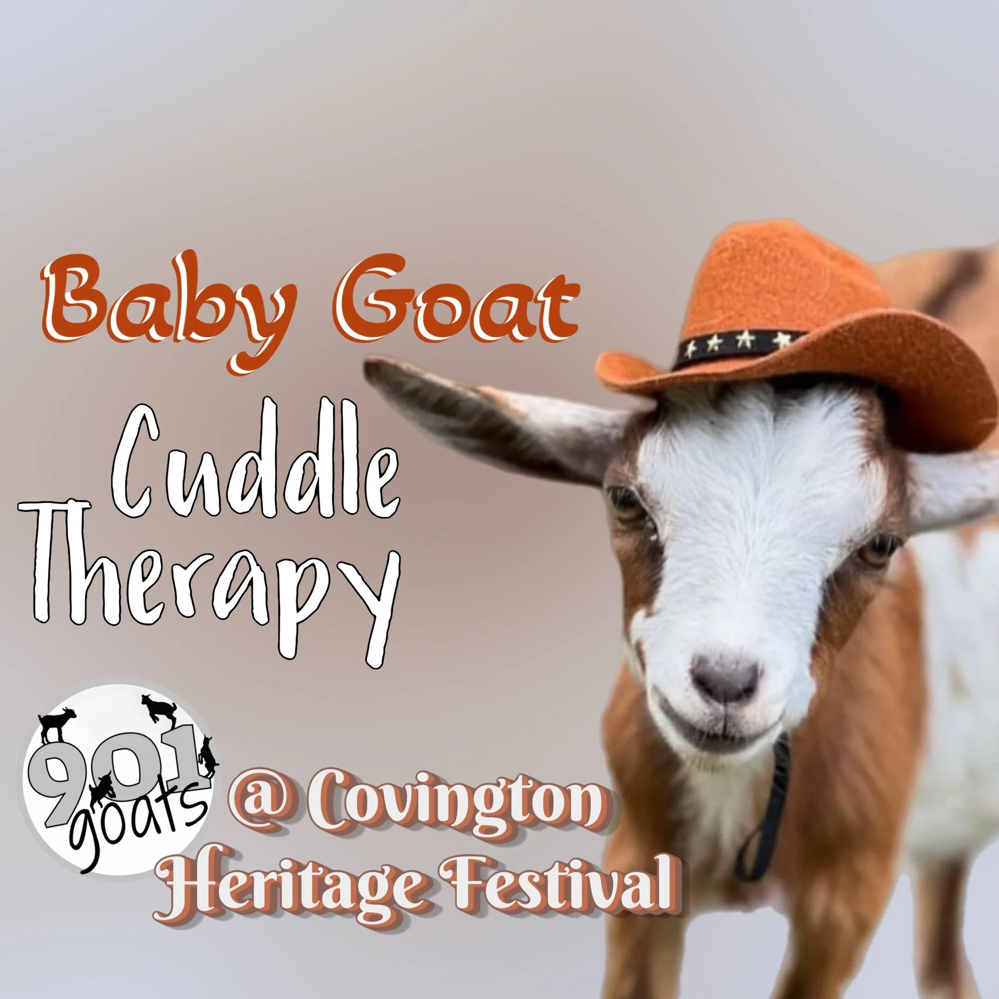 Cuddle Therapy @ Covington Heritage Festival