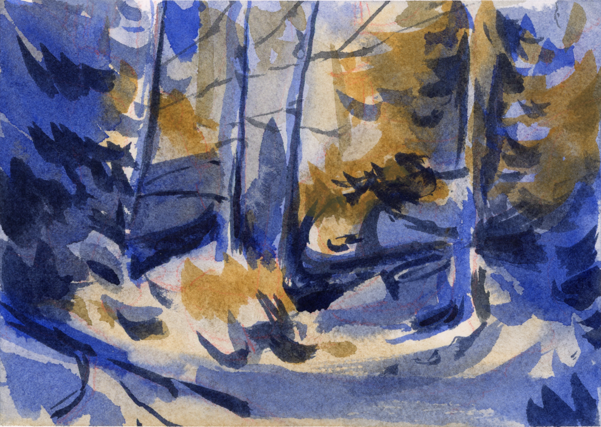 20260606_1559235._Ultramarine Forest_Crop.png
