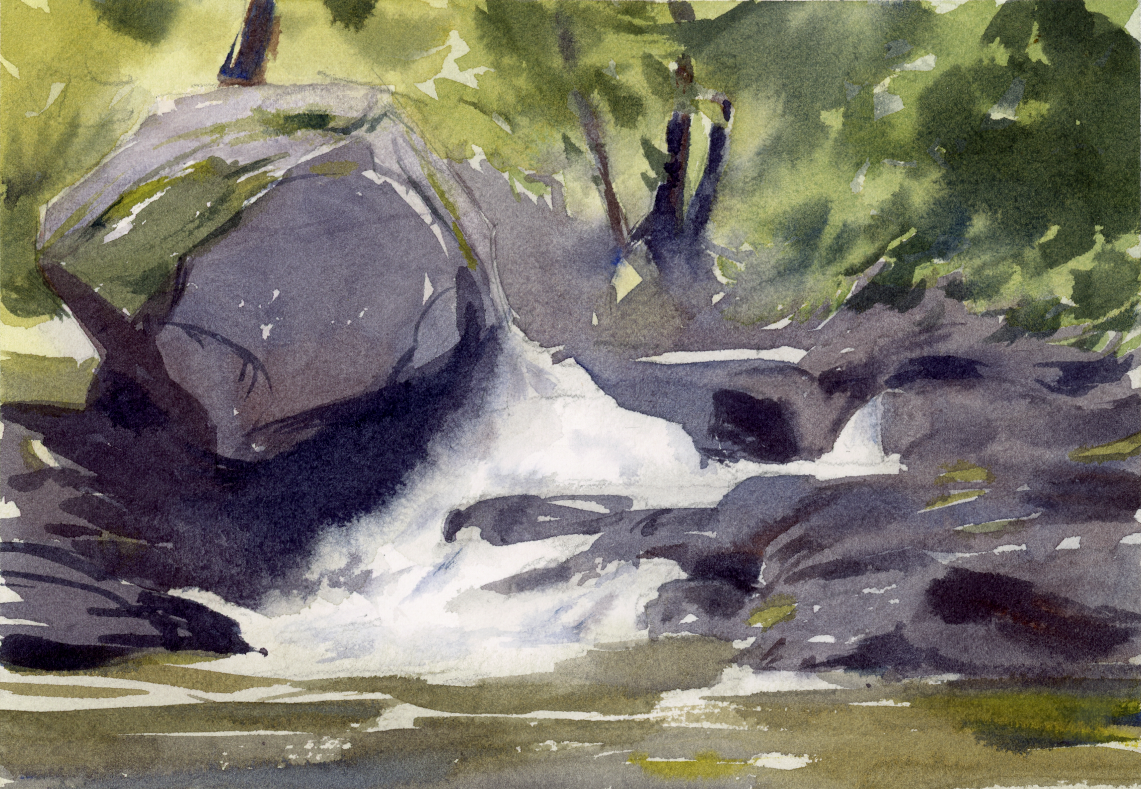 20260709_10410901_Crop.png