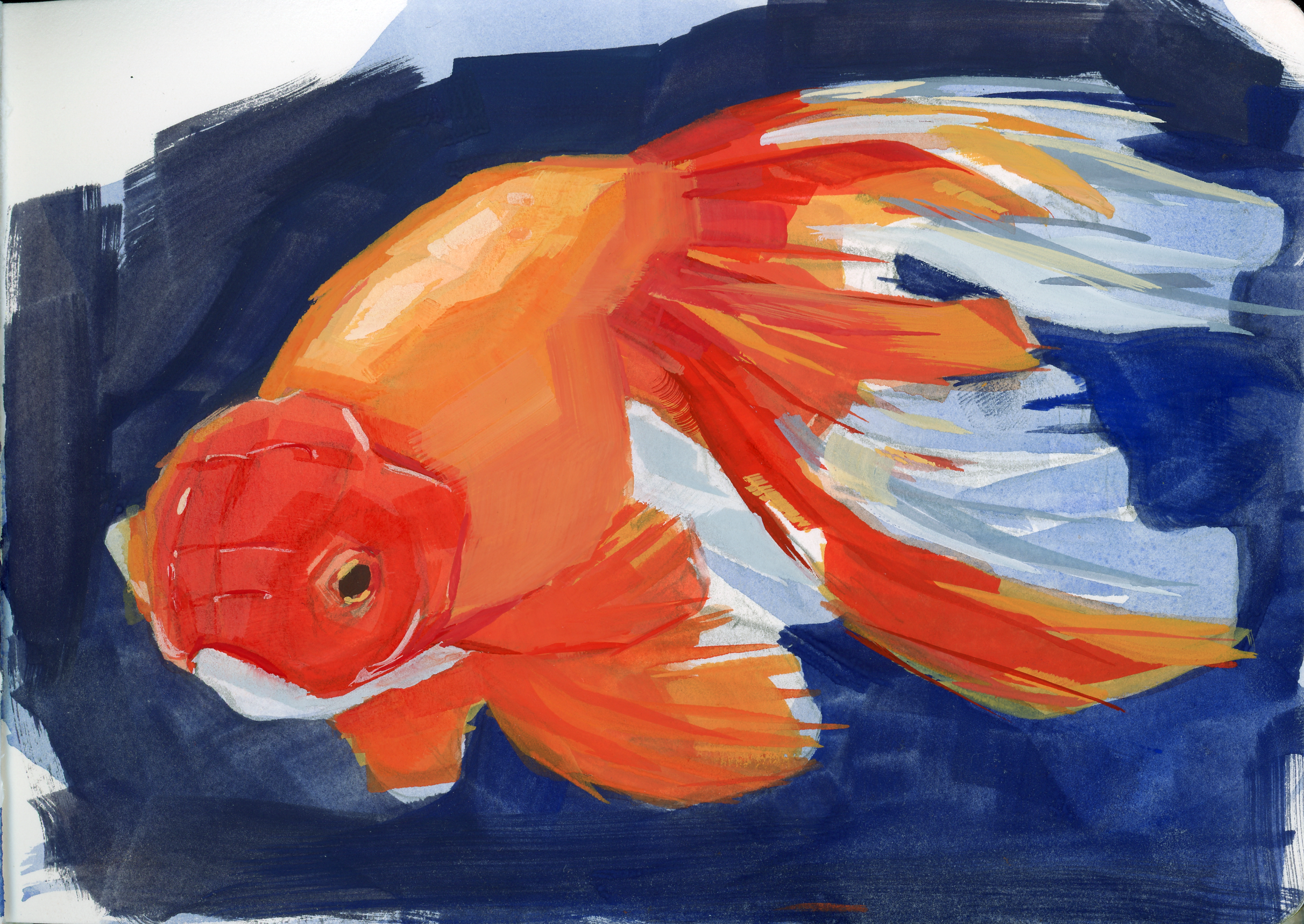 Goldfish_02_Green Balance.png