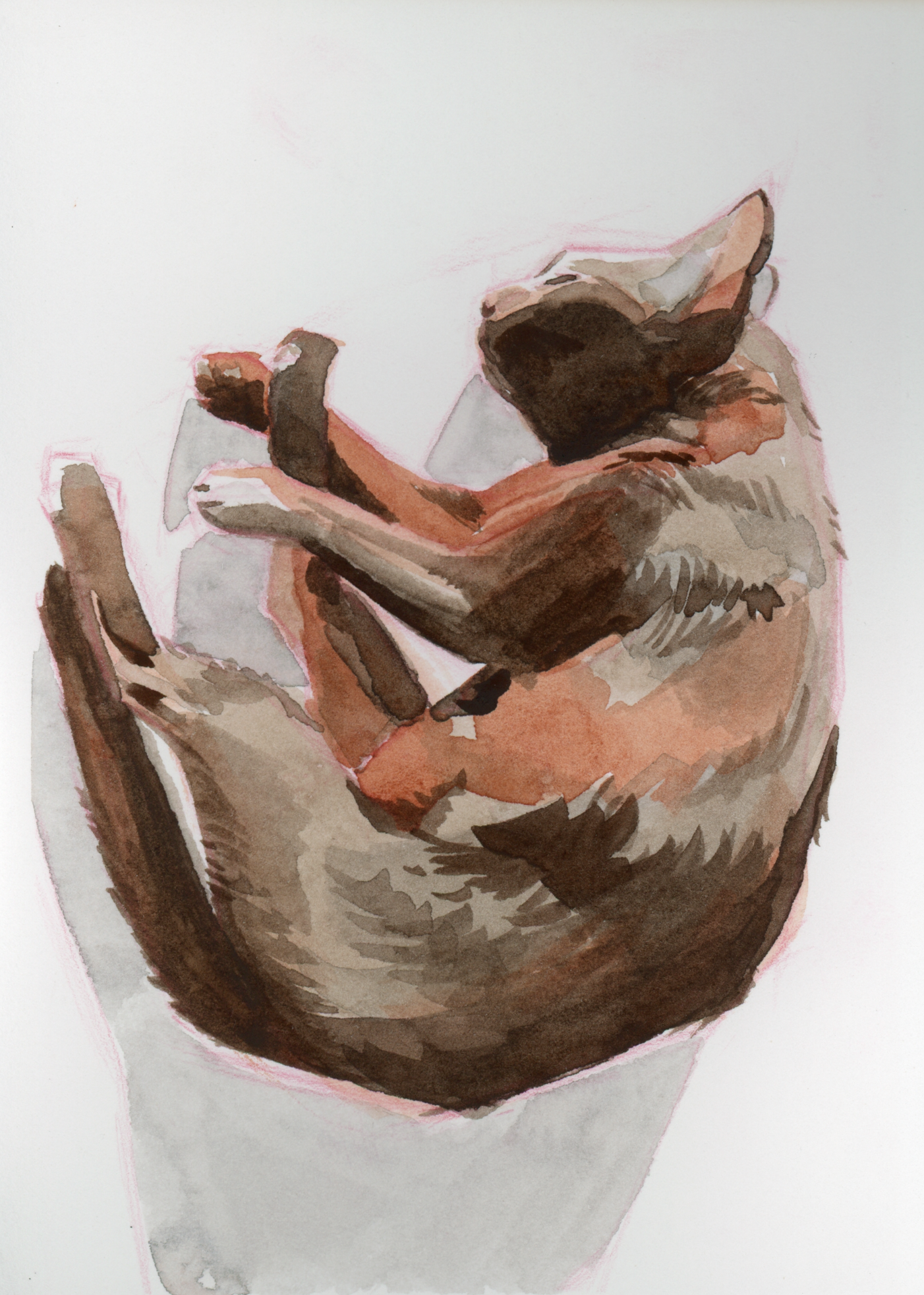 img20250703_10440936_EDIT.png