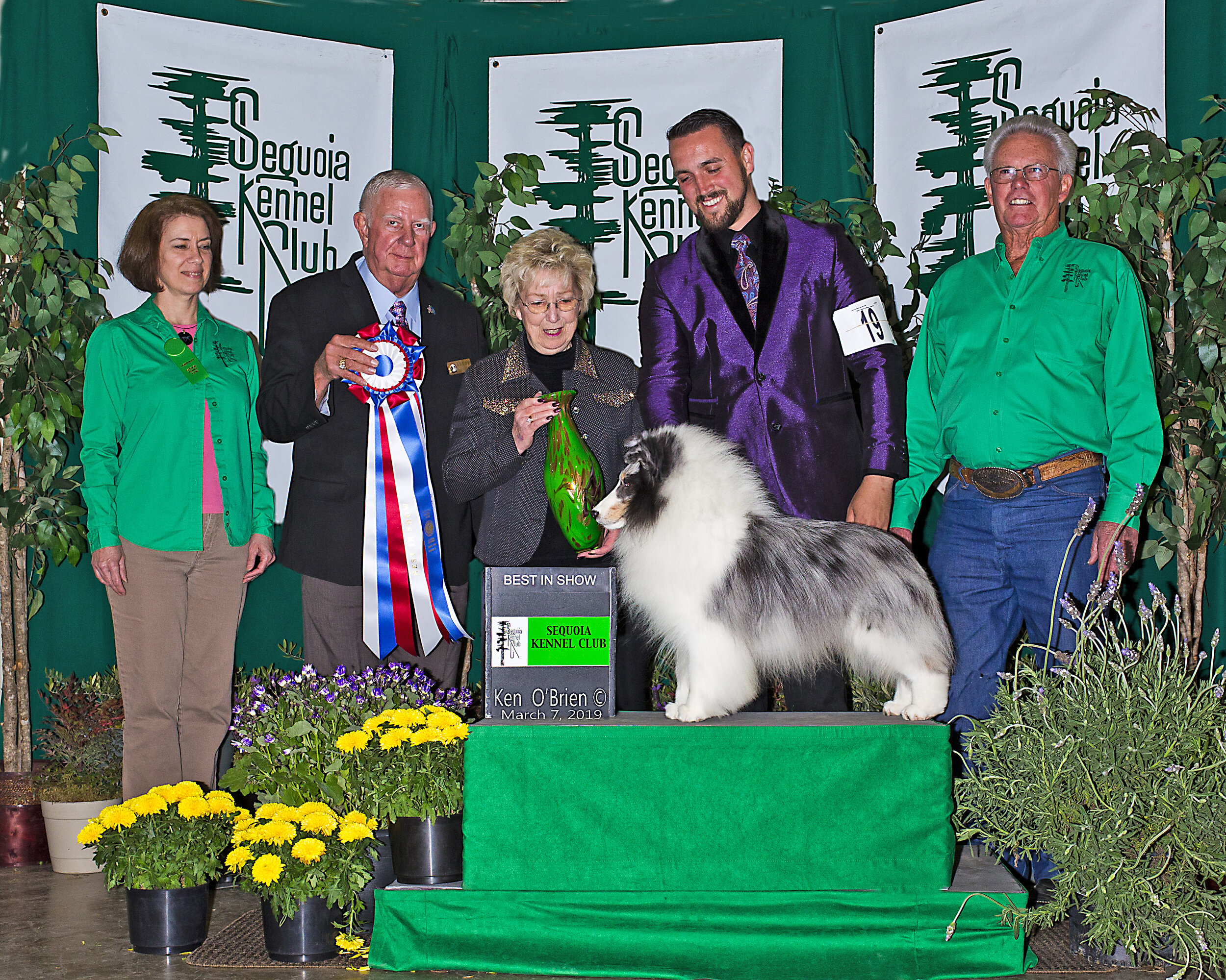 Sheltie_C0719-9441_BIS_8x10_numAA.jpg