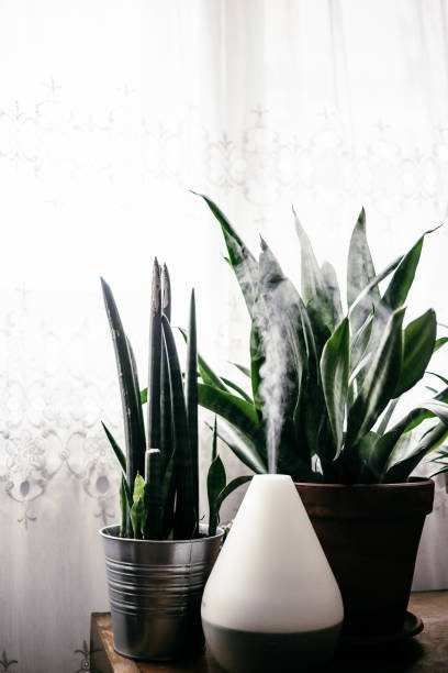 Oil Diffuser Image 4.jpg