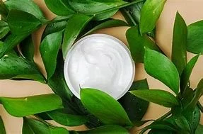 Creamy Body Butter Image 1.jpg
