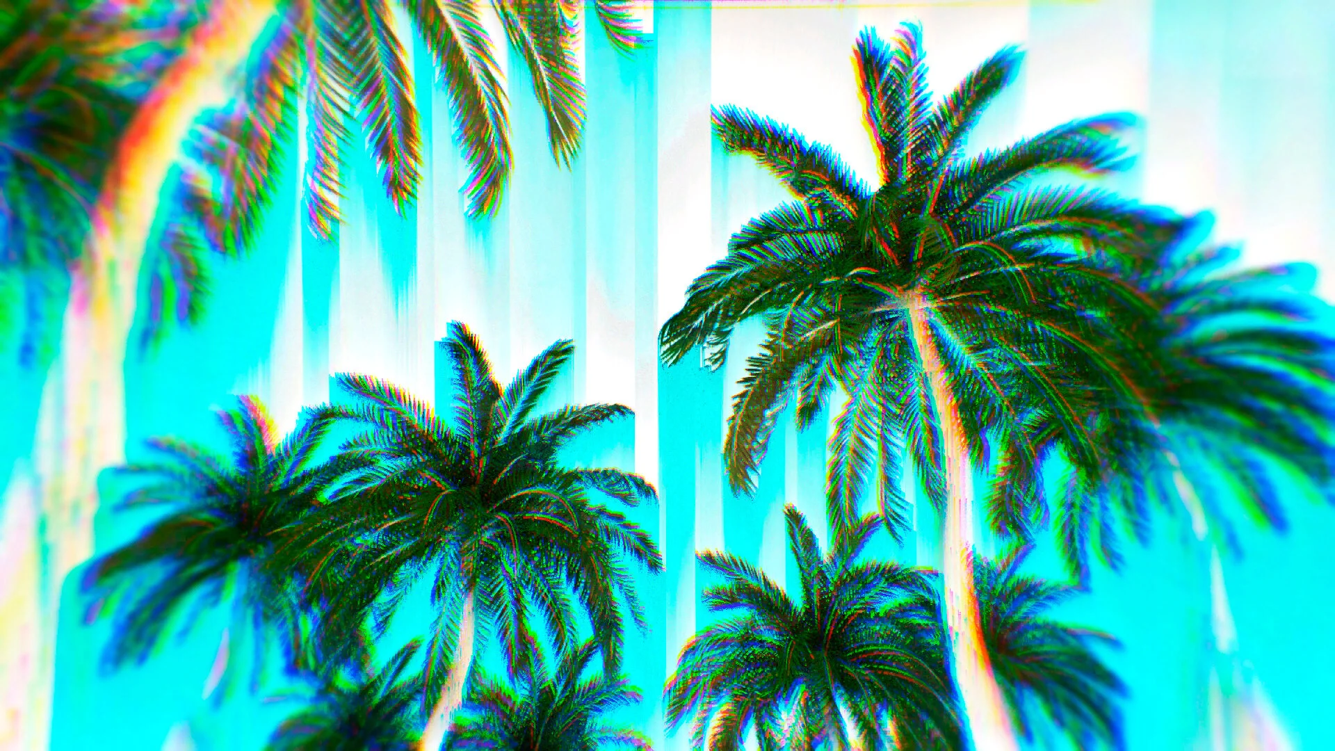 PALM_00041.jpg