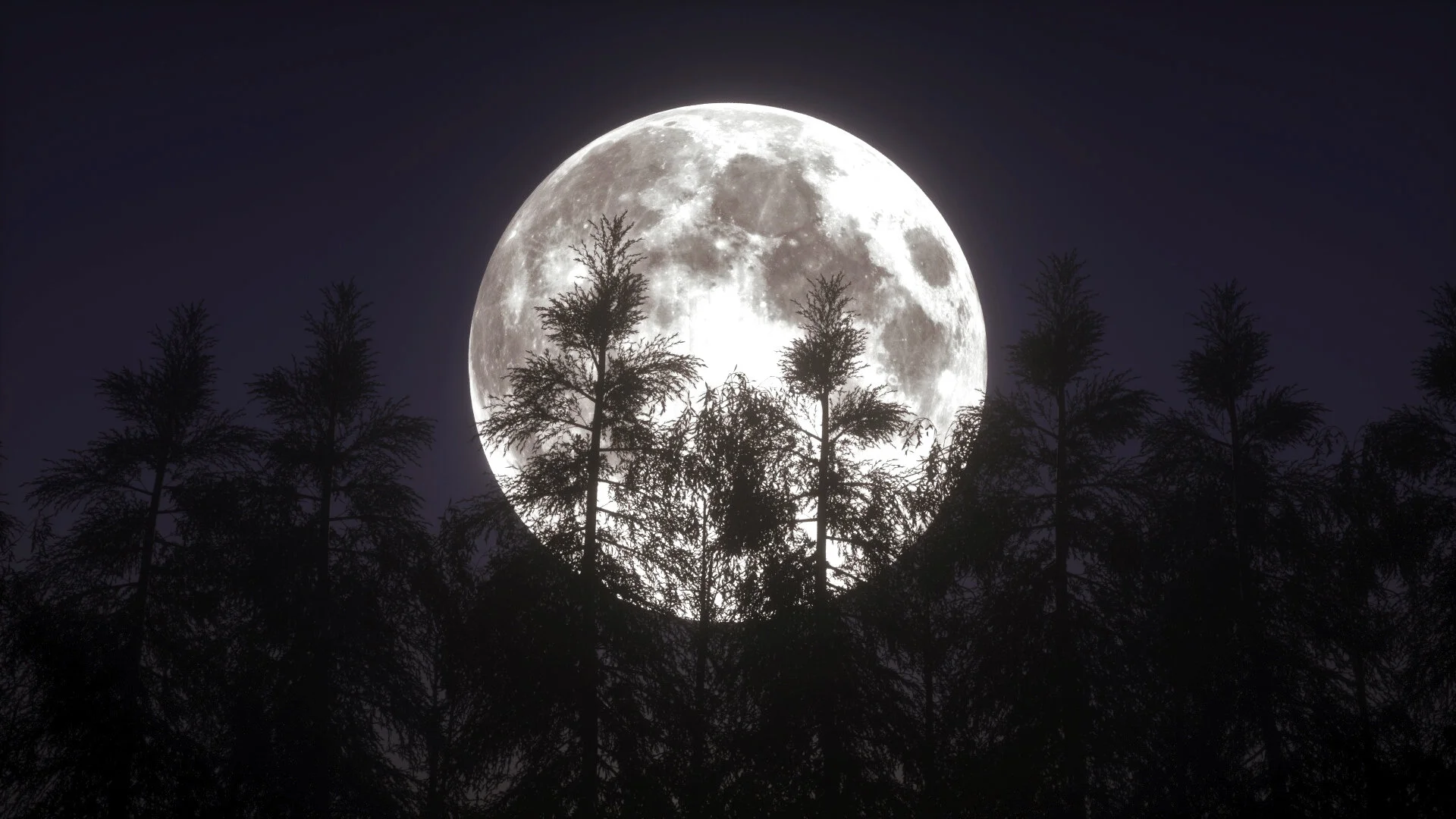 MOON_1.jpg