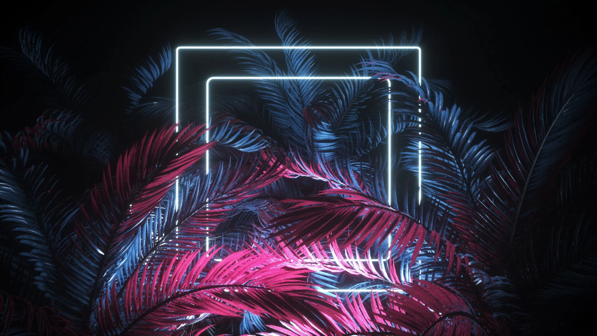 LIGHT PALM.jpg