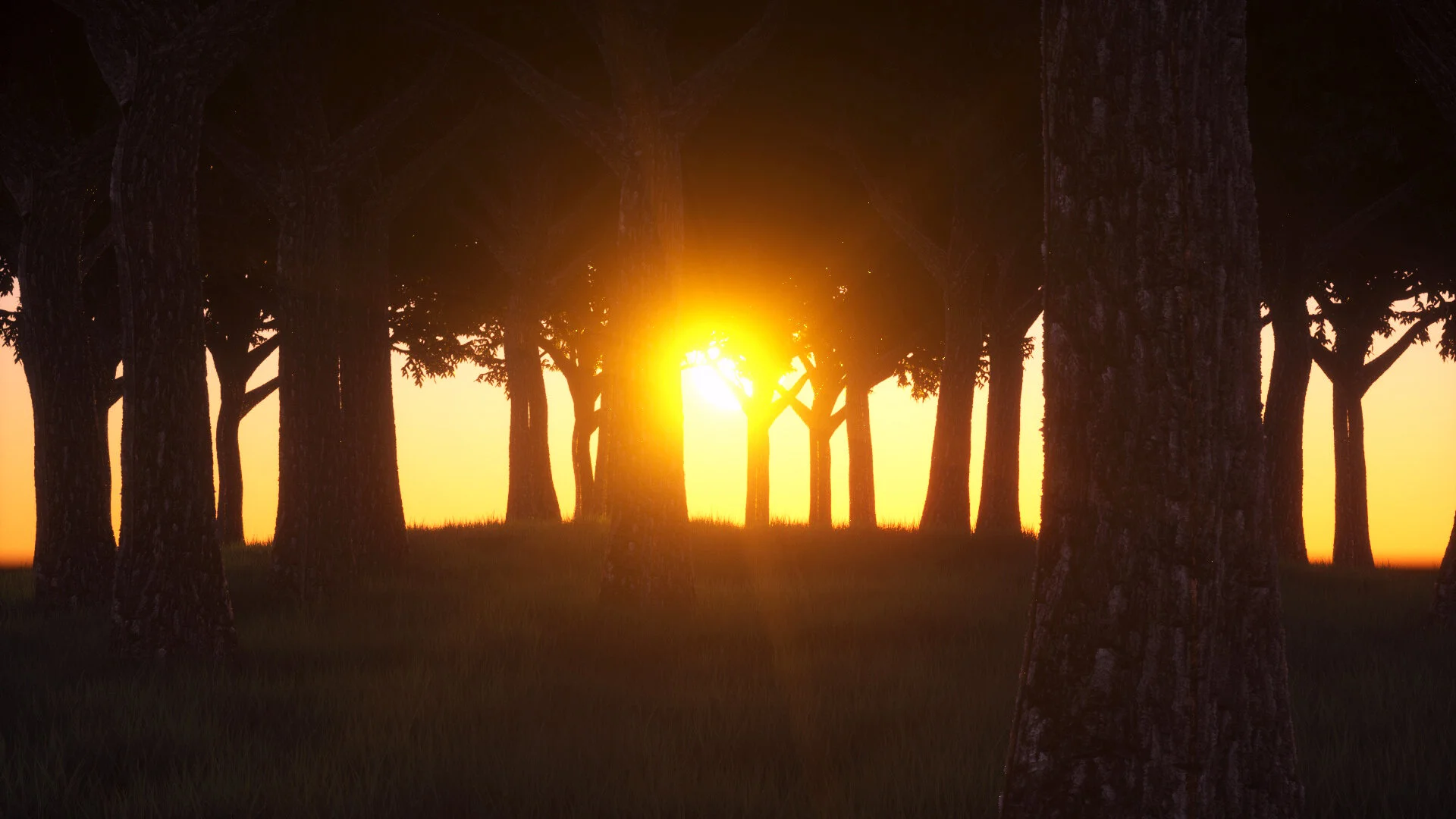 ALBA.jpg