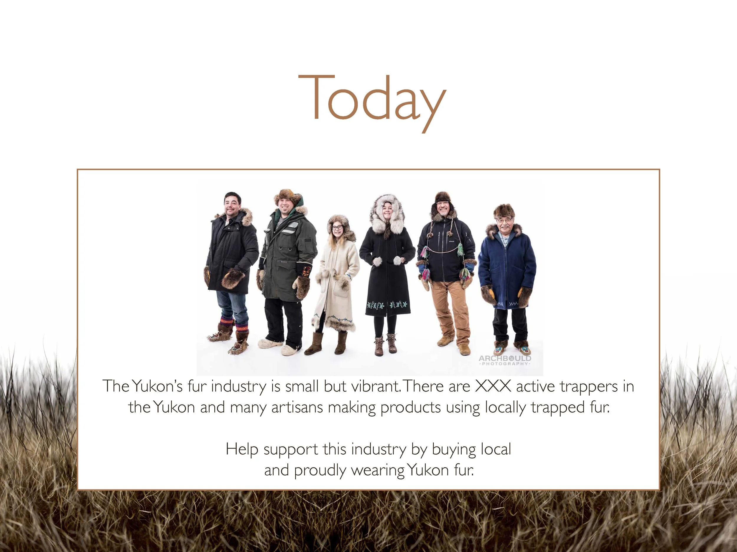 Designed interpretive panel of Yukon's fur industry timeline created for Shot in the Dark Productions in 2018. Image 1 of 11.