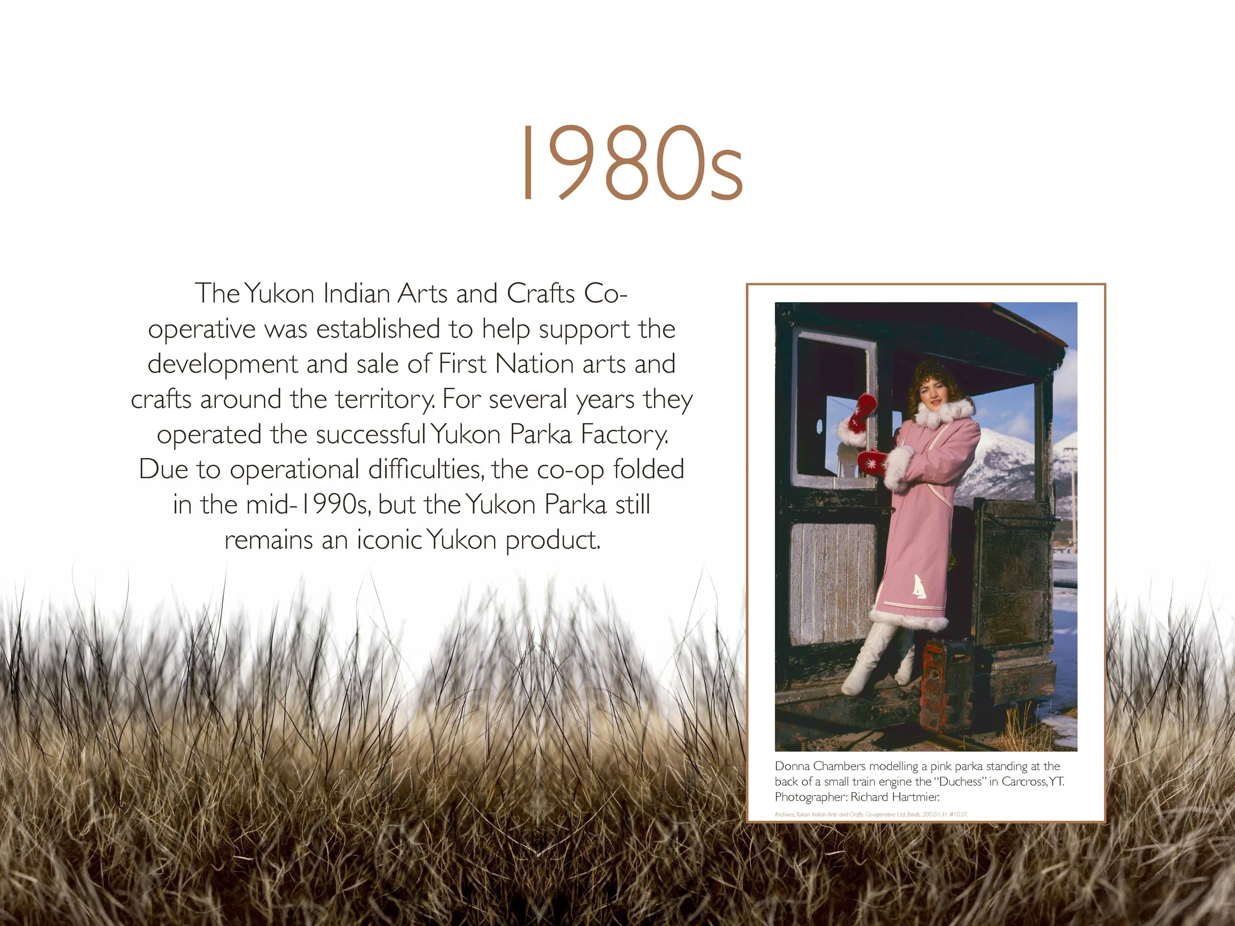 Designed interpretive panel of Yukon's fur industry timeline created for Shot in the Dark Productions in 2018. Image 4 of 11.