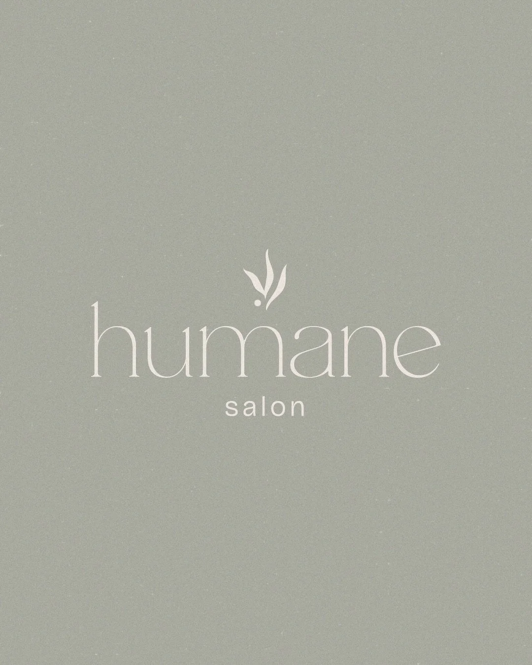 Introducing Humane Salon. 🌿 

When Dee approached us with her vision for Michigan&rsquo;s newest vegan hair salon, she knew exactly what she wanted: a brand that felt grounded by science, rooted in nature. Clean ingredients deserve a clean aesthetic