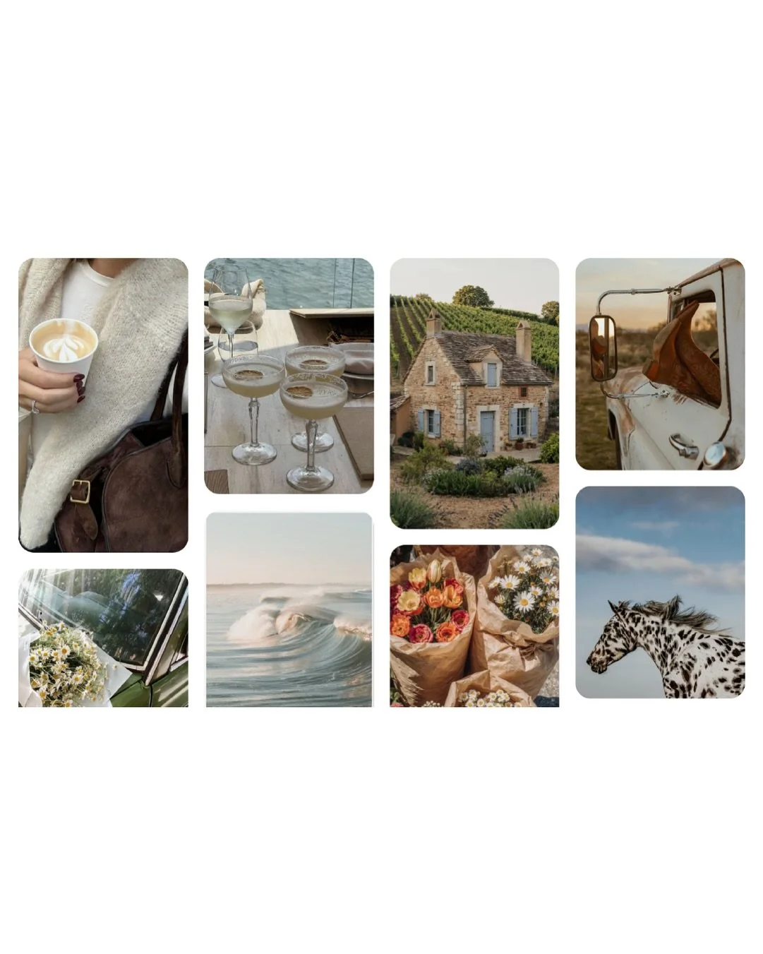 Leaning SO hard into fall this year 🍂☕️ working on some branding inspo and these cozy neutrals + rich browns are speaking to my soul. swipe for the color palette that&rsquo;s living rent-free in my head &rarr;