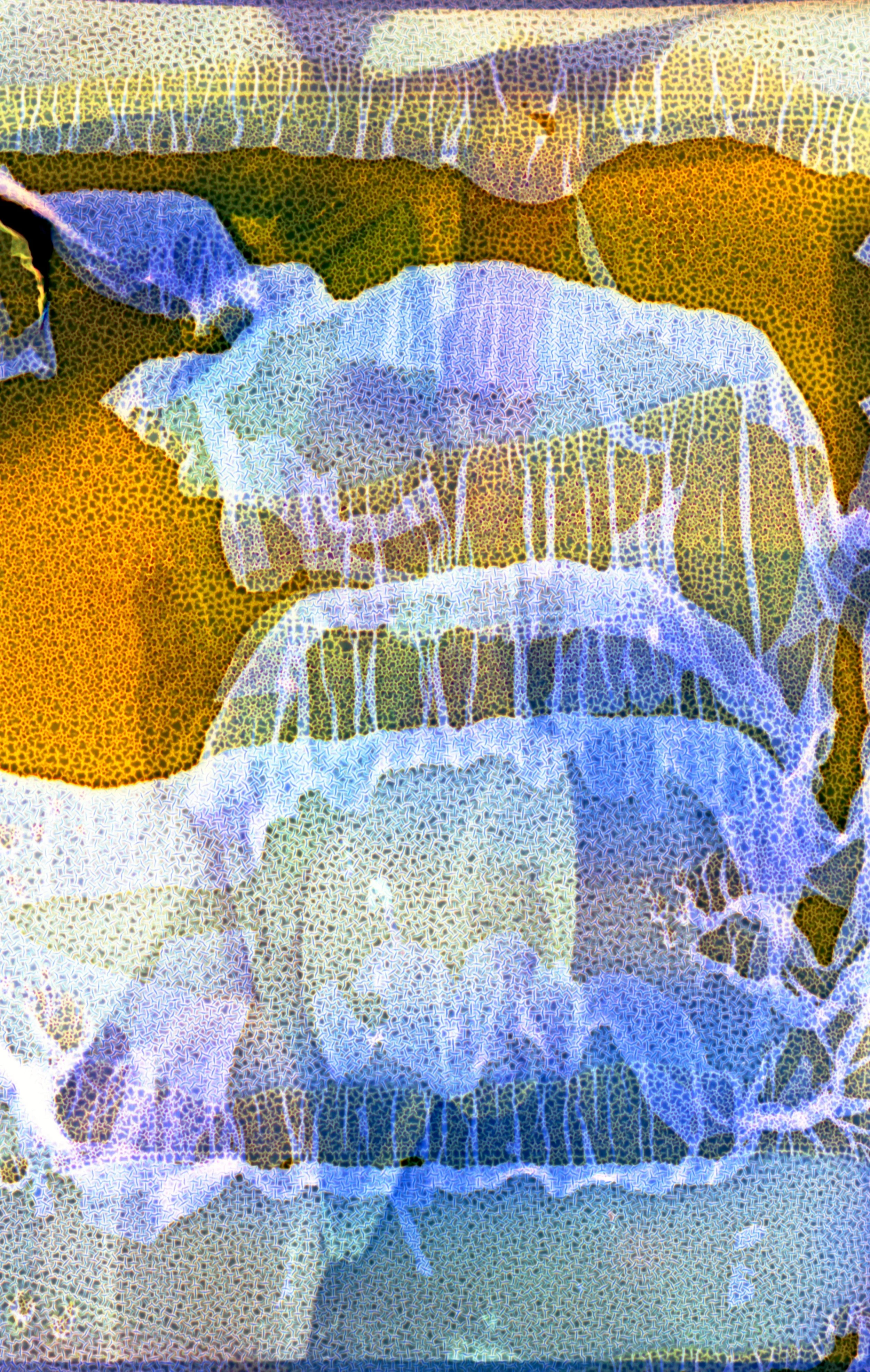 Fishmonger (Snow), 2026