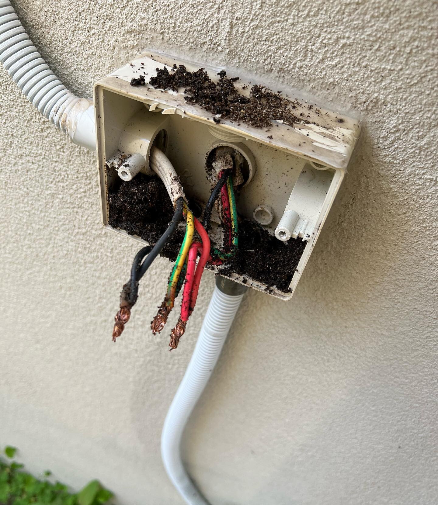 Can you take a guess what was causing this circuit to trip out? 🧐

&hellip;. 🐜⚡️

📲 0417 129 484 
📧info@templetonelectrical.com.au
💻www.templetonelectrical.com.au
&bull;
&bull;
&bull;
&bull;
&bull;
#electrician #electriciansunshinecoast #sunshin