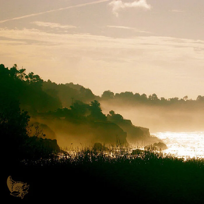 TCC_Mendocino-bay.jpg