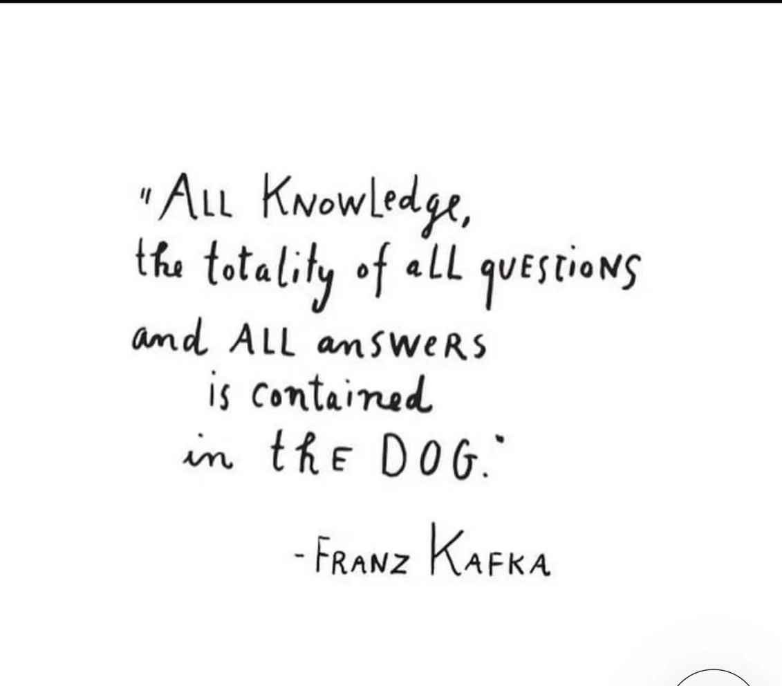 Happy Sunday❤️❤️