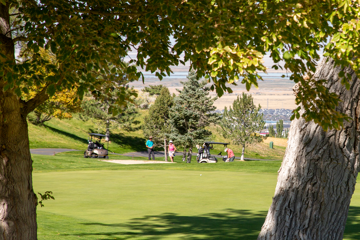 X_Golf_Course8.png
