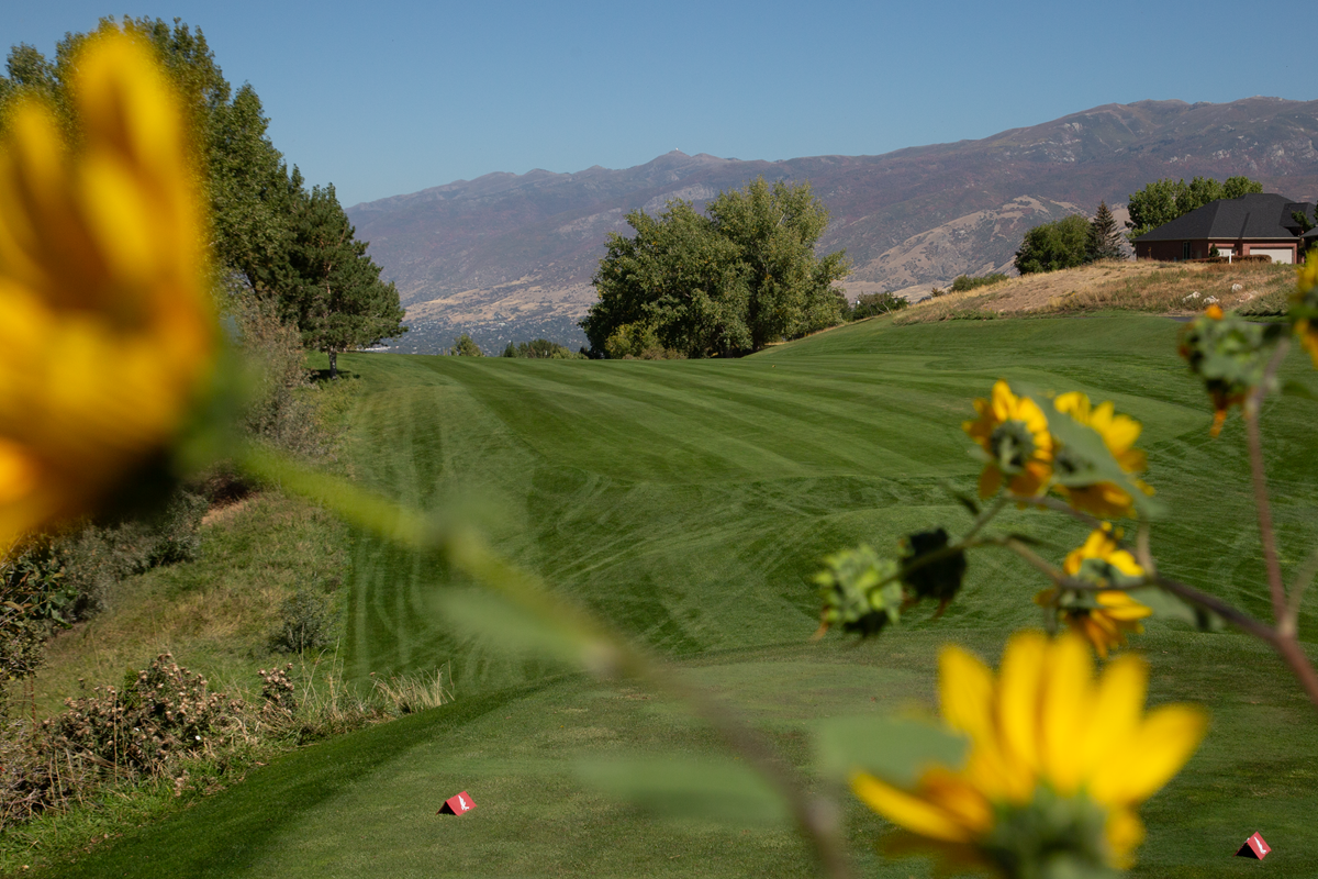 X_Golf_Course7.png
