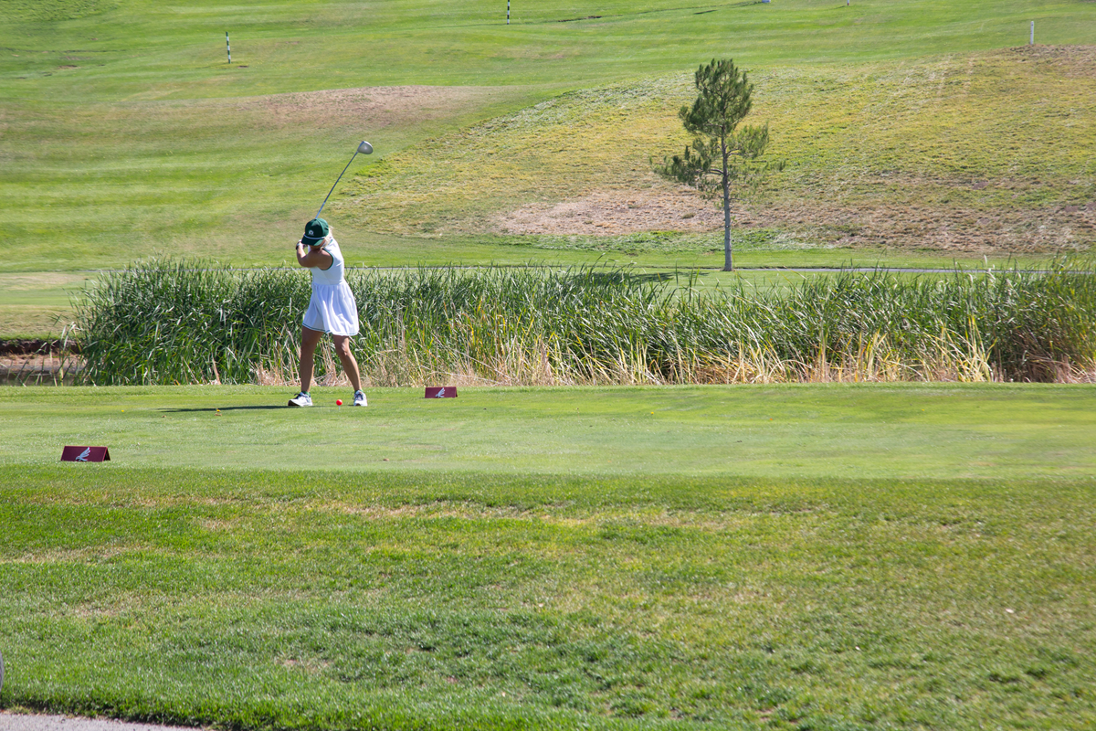 X_Golf_Course19.png