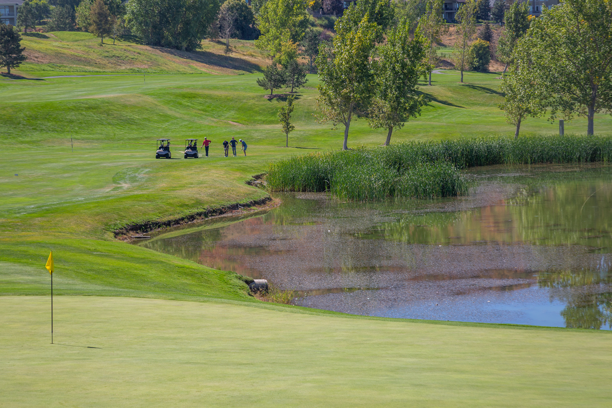 X_Golf_Course17.png