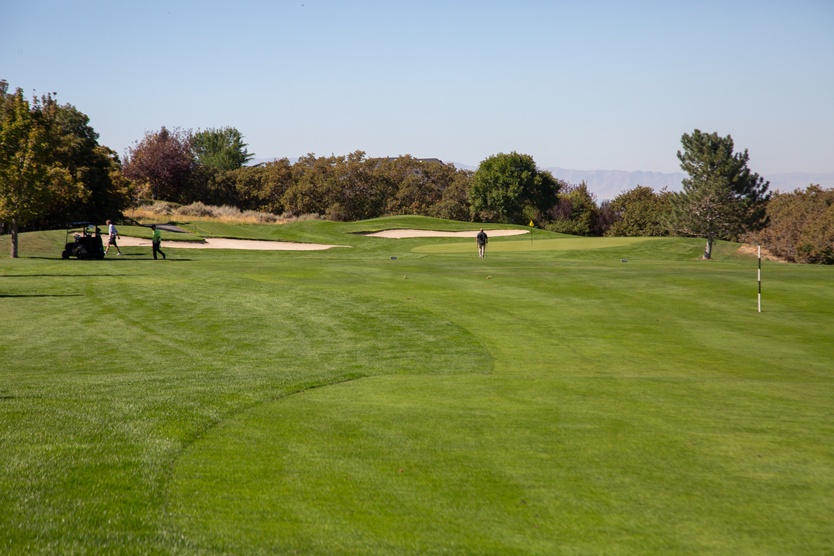 X_Golf_Course4.png