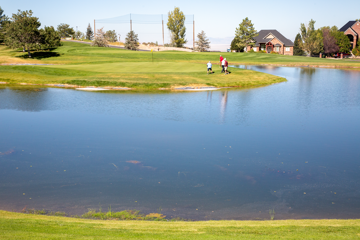 X_Golf_Course14.png