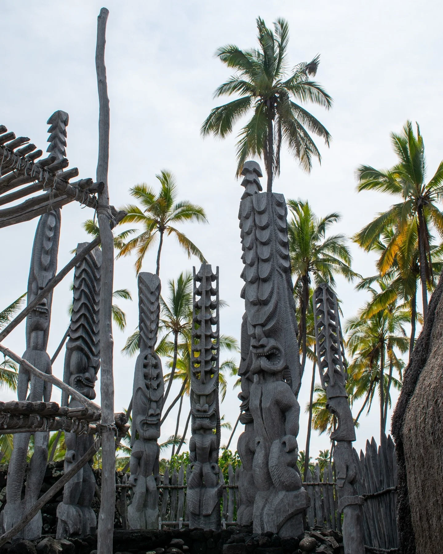 Day 4 road-tripping the Big Island 🐢🌊

🚙 From Kona, we started traveling South on the Māmalahoa Highway. With no real plan other than to reach Volcano by the end of the day, we began driving. 

🗺️ We stopped at roadside fruit shacks, peeked into 