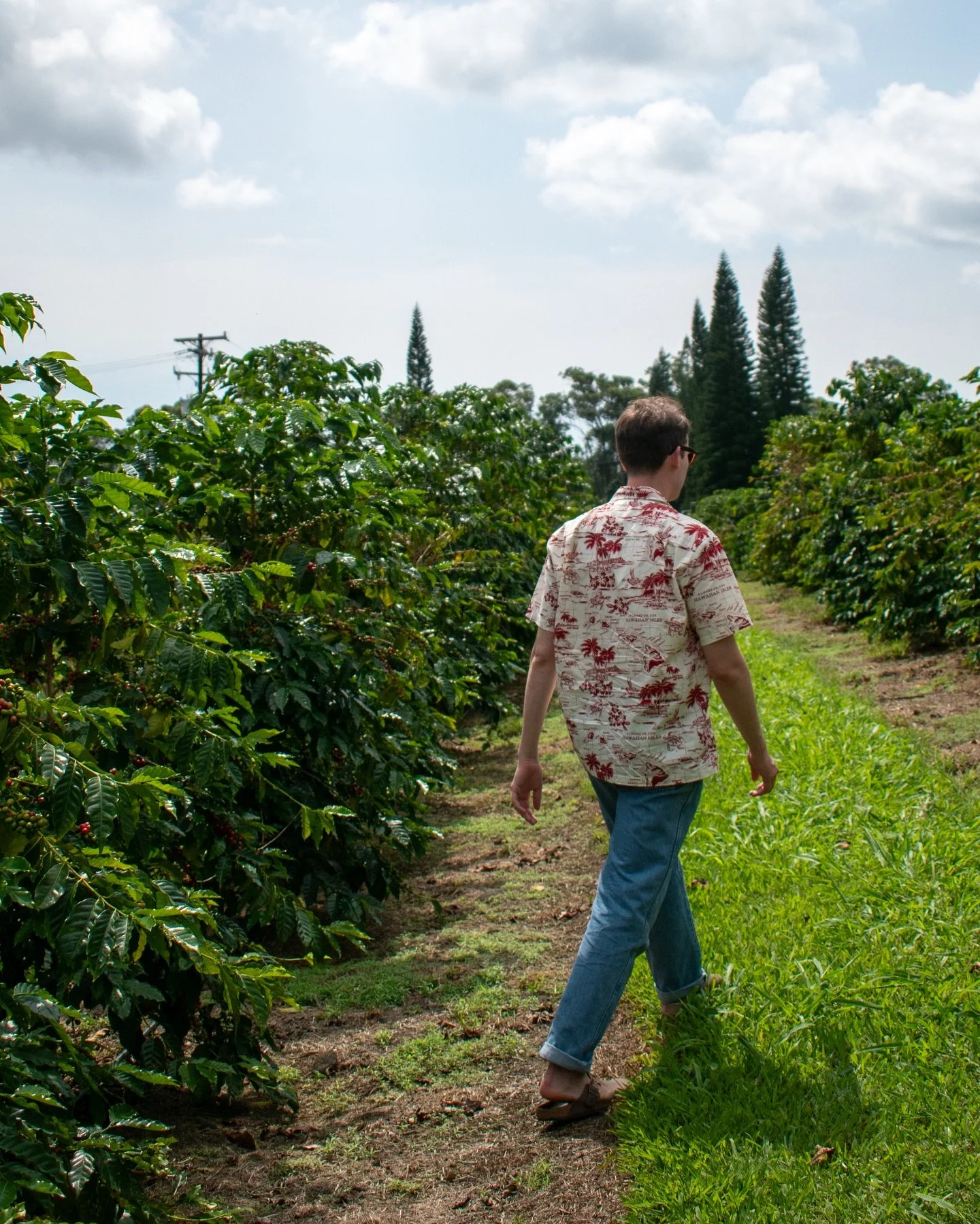 Days 7 &amp; 8 road-tripping the Big Island 🚿🌺

Our honeymoon slowly came to a close as we approached the windward side of Hilo and its surrounding towns. 

Thing/place/fun by picture:
1-2: Touring a coffee farm for FREE @KauCoffeeMill ☕️ 
3: Swimm
