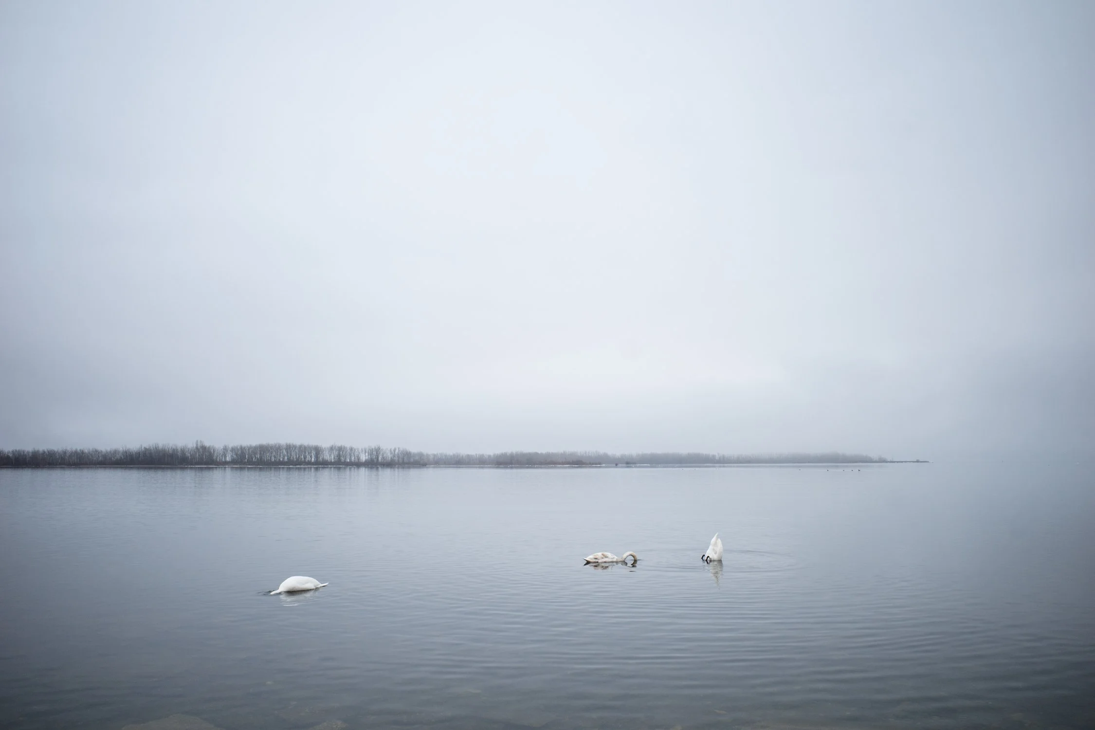 Toronto_Photographer_Joanna_Wojewoda_Cherry_Beach.jpg