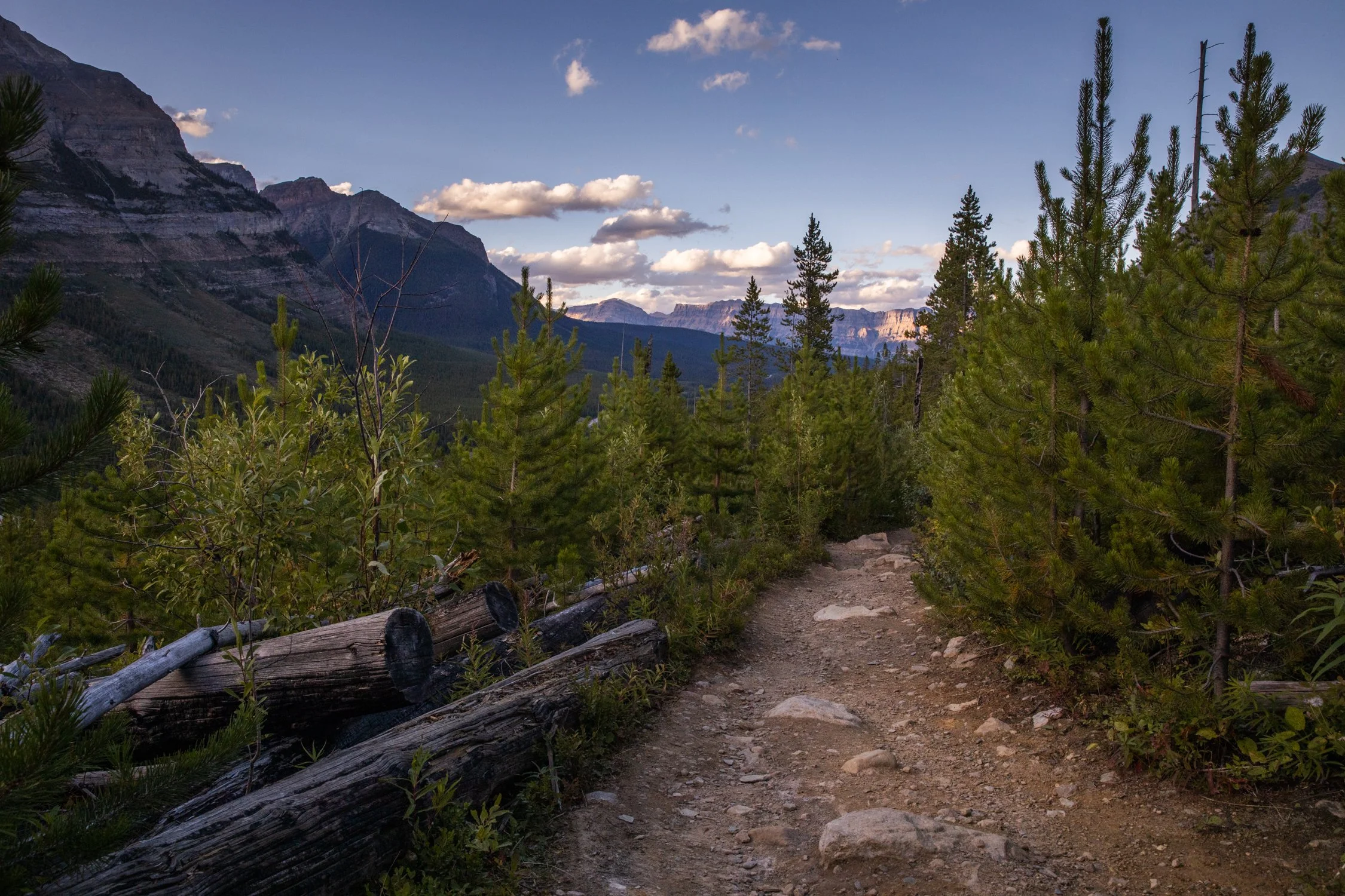 Toronto_Travel_Photographer_Joanna_Wojewoda_Cross_Canada-3.jpg