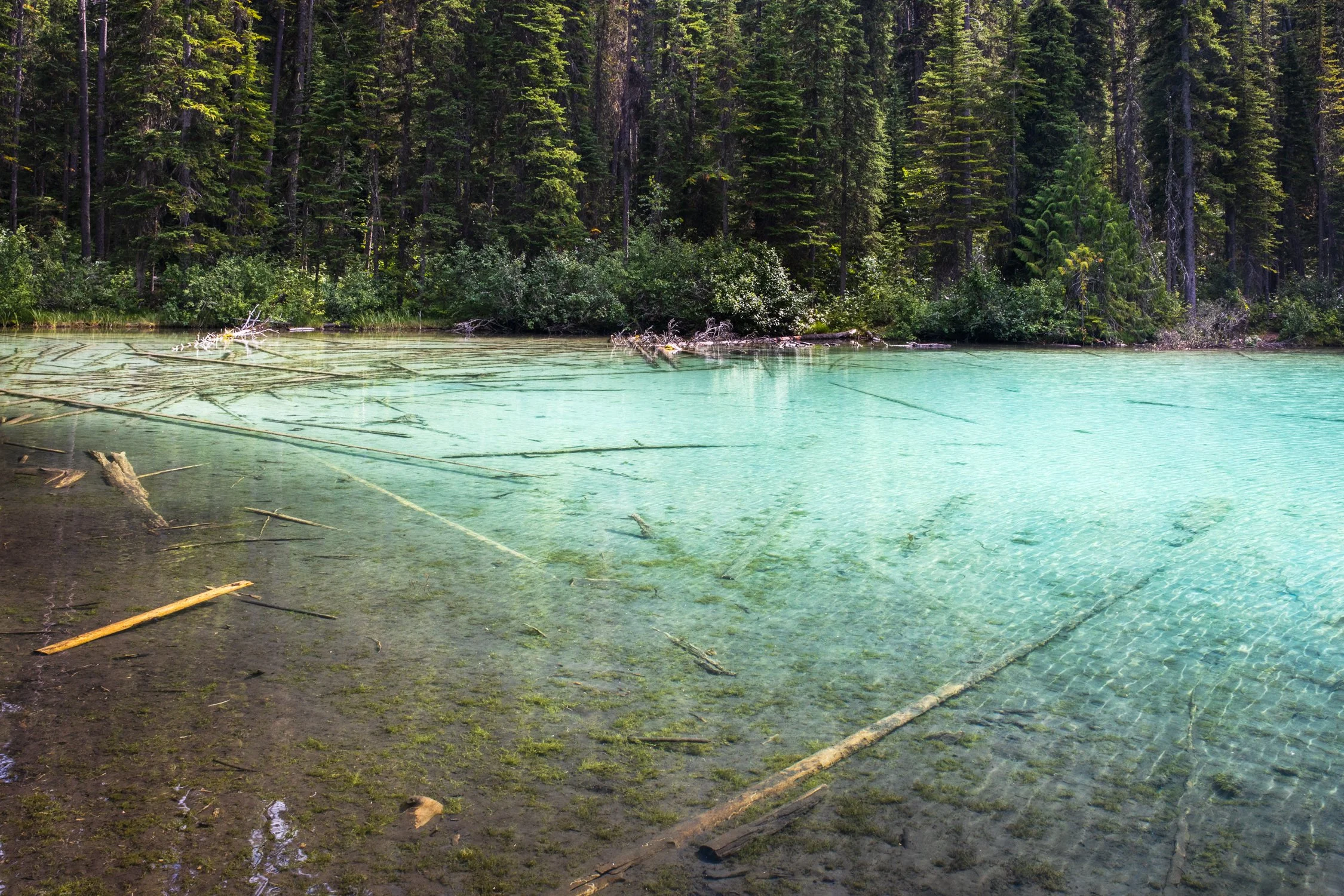 Toronto_Travel_Photographer_Joanna_Wojewoda_Cross_Canada-32.jpg