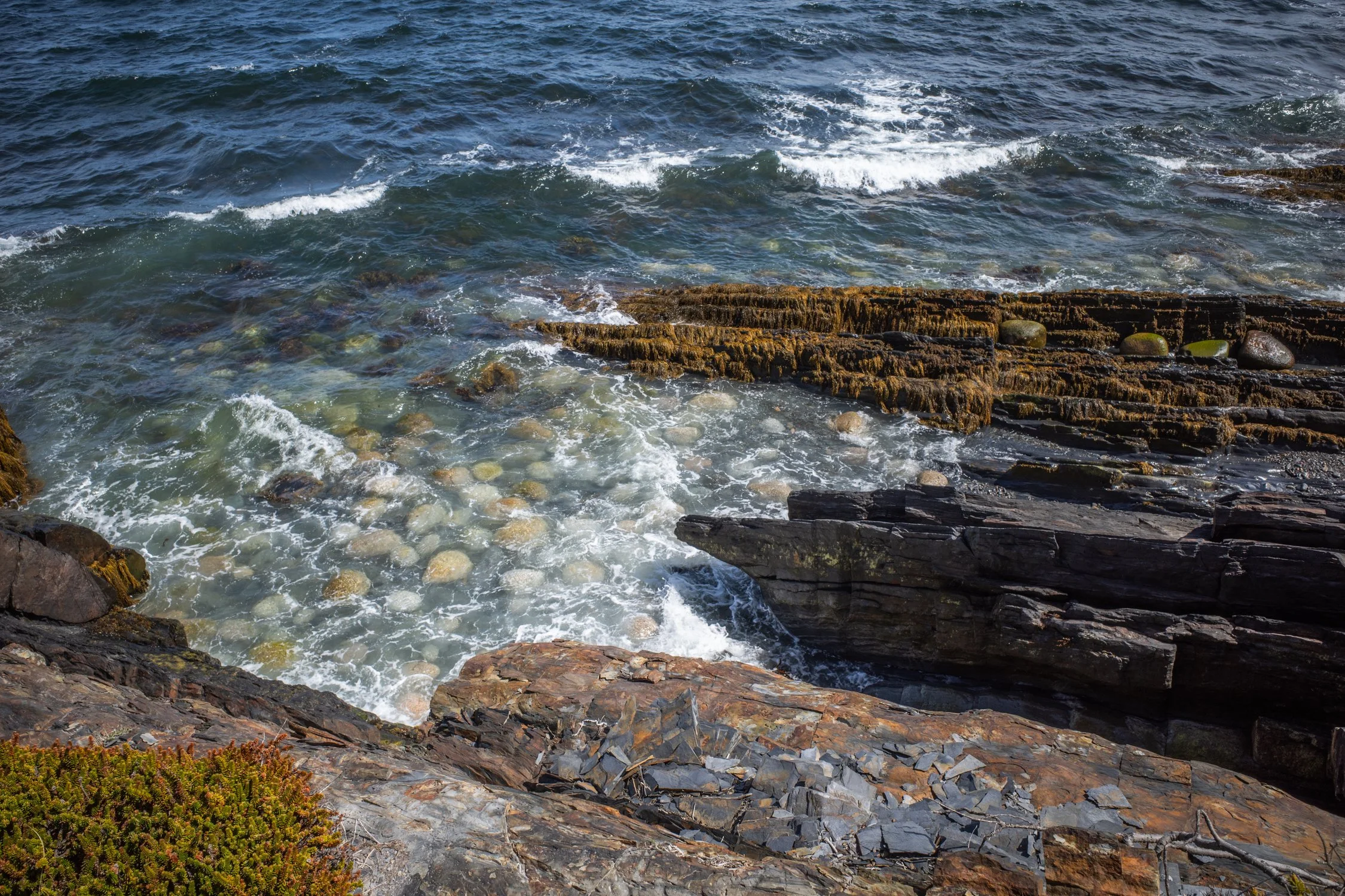 Toronto_Photographer_Joanna_Wojewoda_Hirtles's_Beach-6.jpg