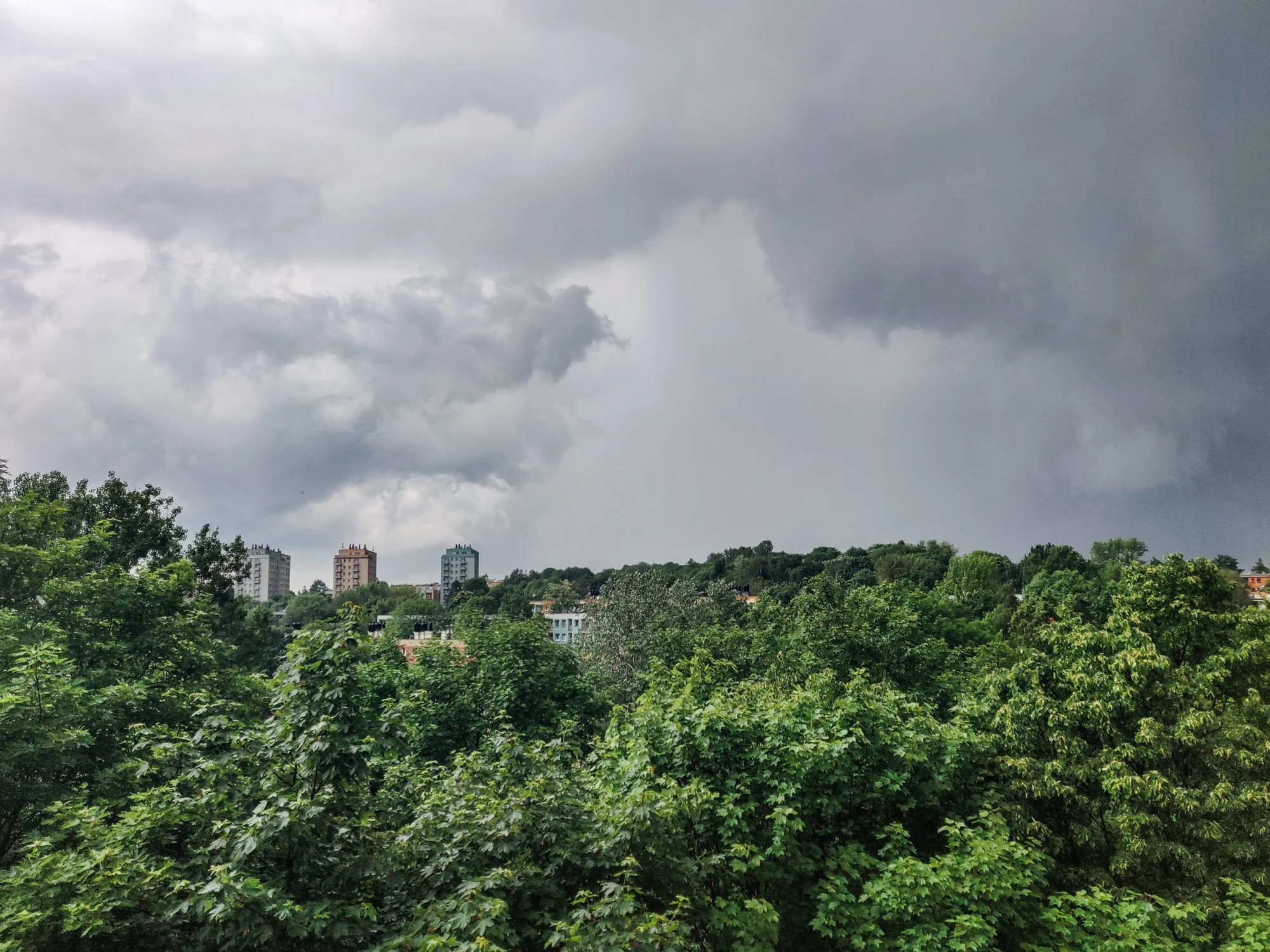 Toronto_Travel_Photographer_Joanna_Wojewoda_Krakow-Kobyl-Travel-05-28.jpg